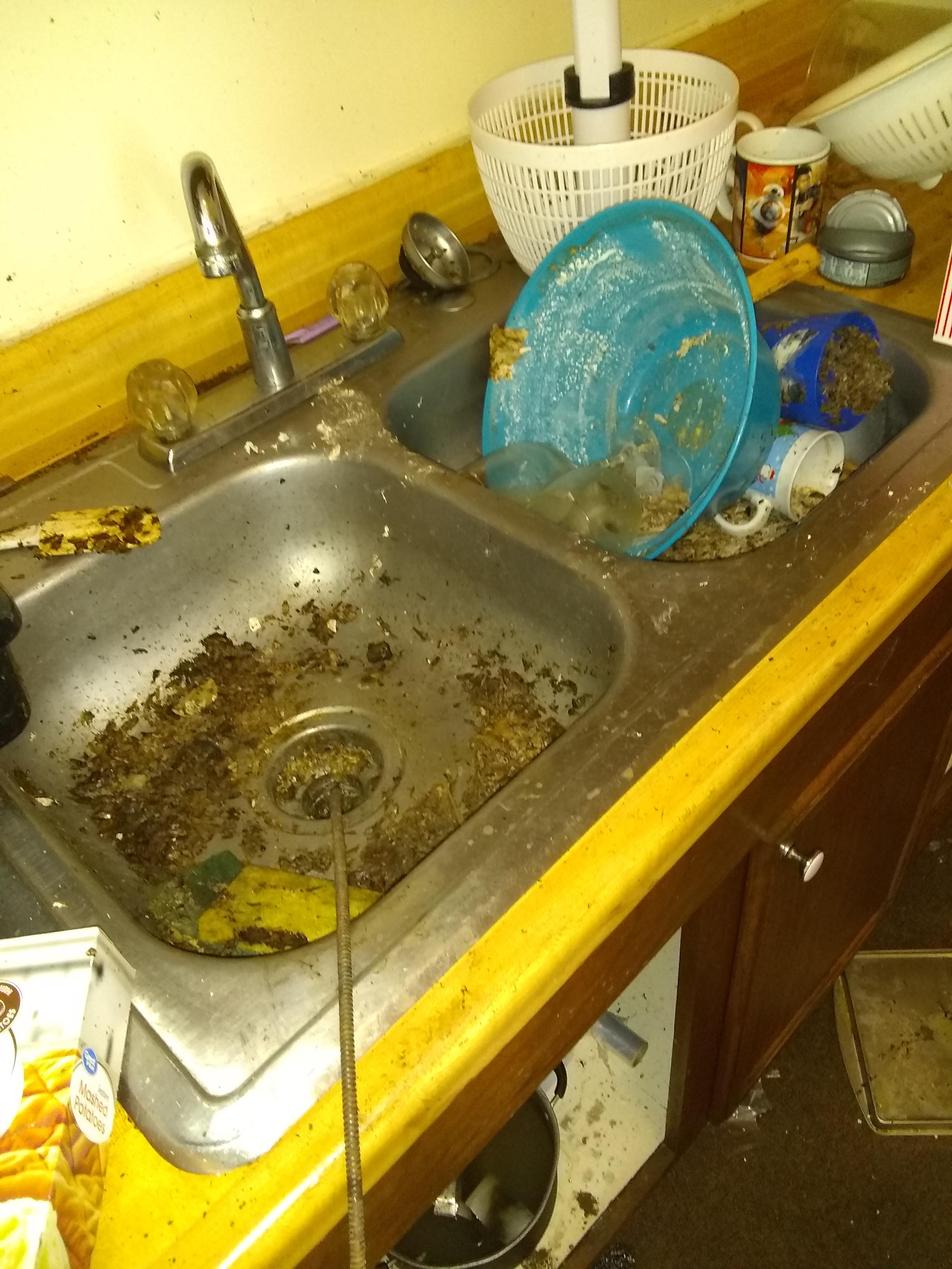 Rental property part 3 the kitchen sink. r/trashy