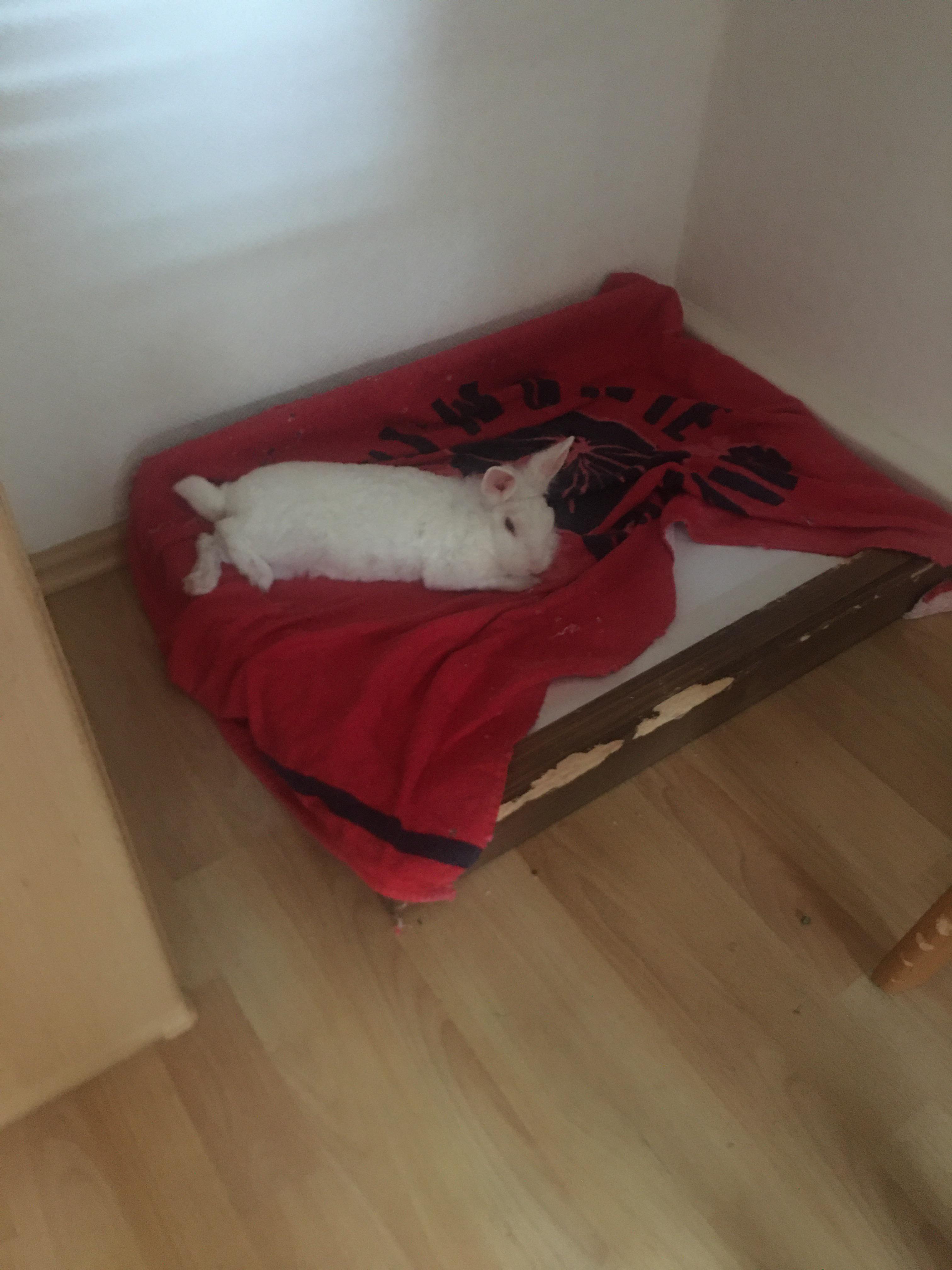 A coolingpad is a waste of Money they told me , but here we are r