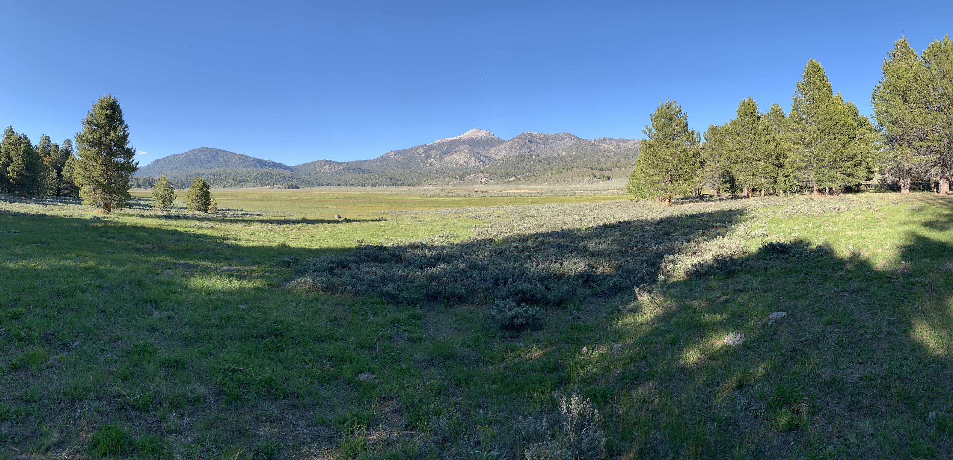 monache meadow Reddit post and comment search SocialGrep