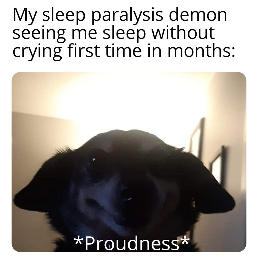 Wholesome sleep paralysis demon. r/wholesomememes