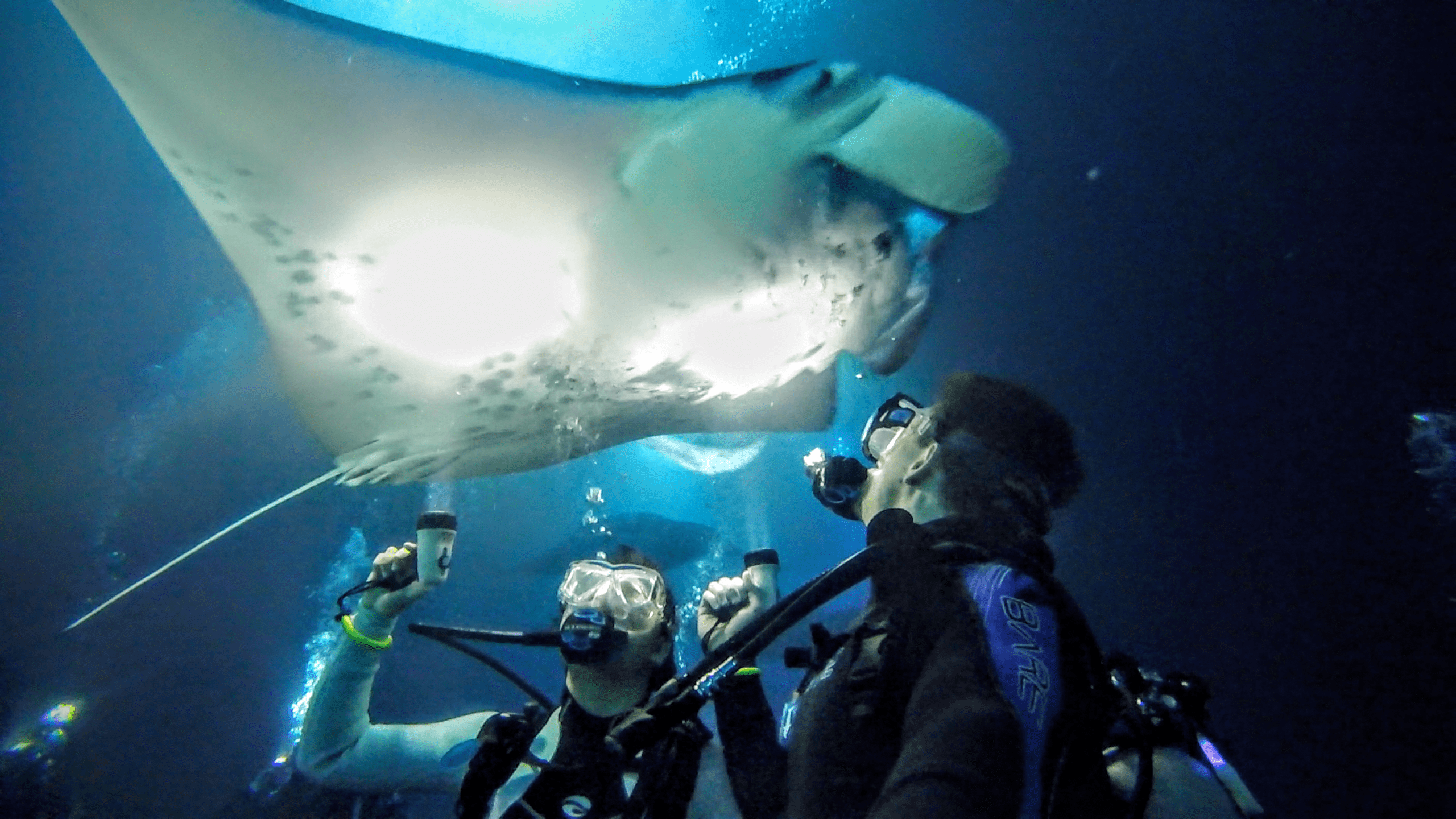 Manta Ray Night Dive, KailuaKona, Hawaii r/pics
