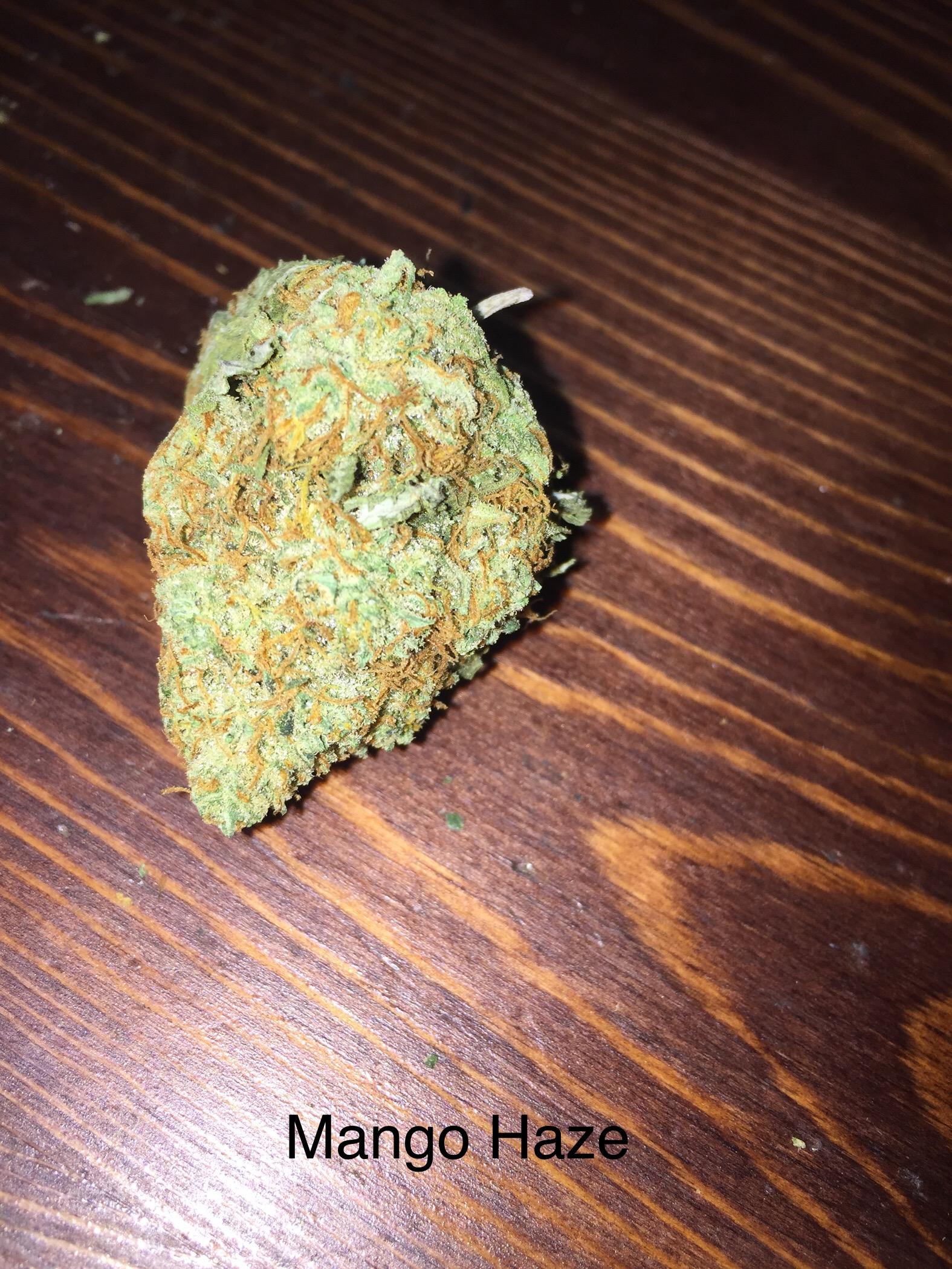 114 best Mango Haze images on Pholder The OCS, FL Medical Trees and Weed