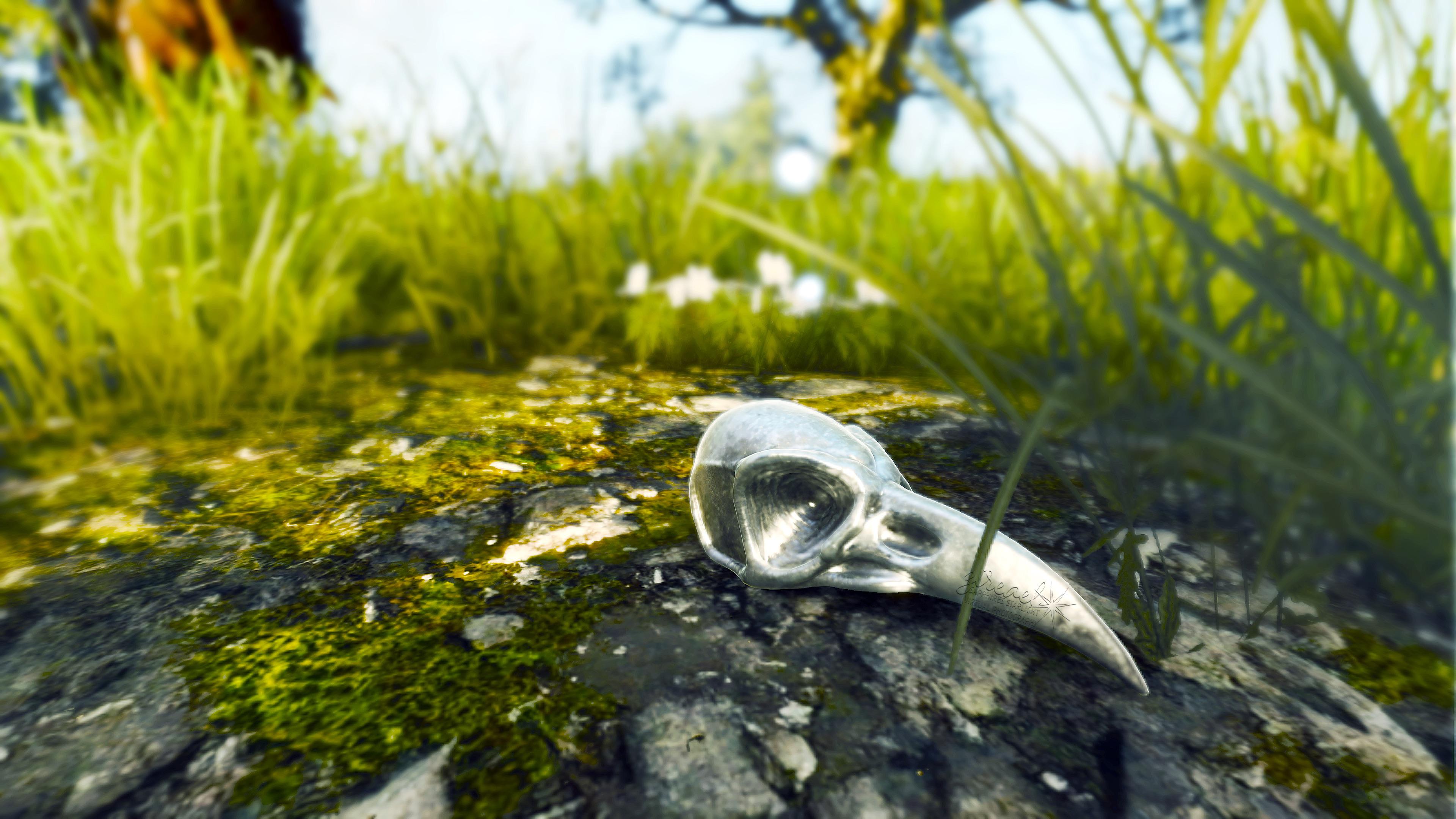 Crystal Skull [The Witcher 3] r/VirtualPhotographers