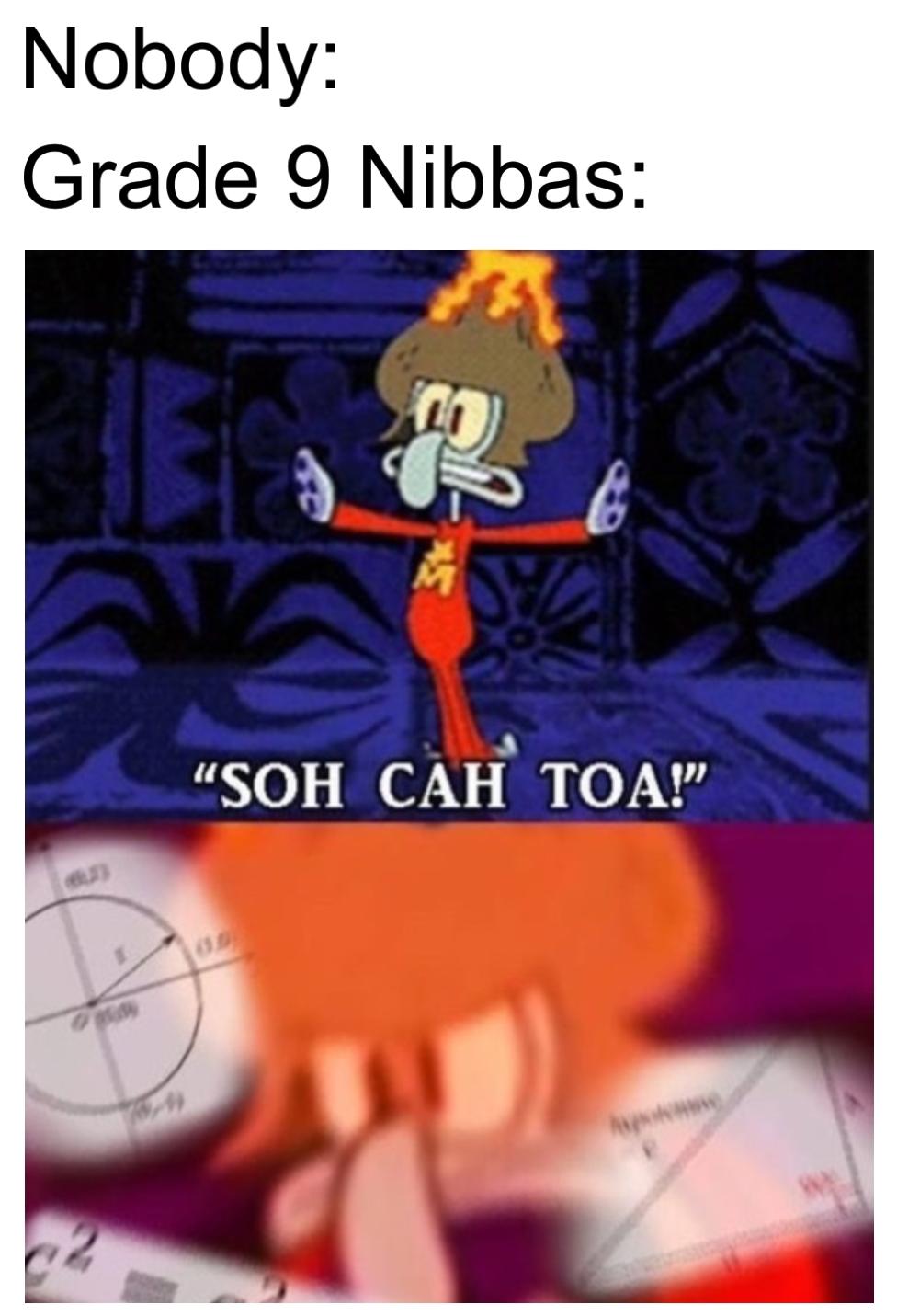 SOH CAH TOA dankmemes