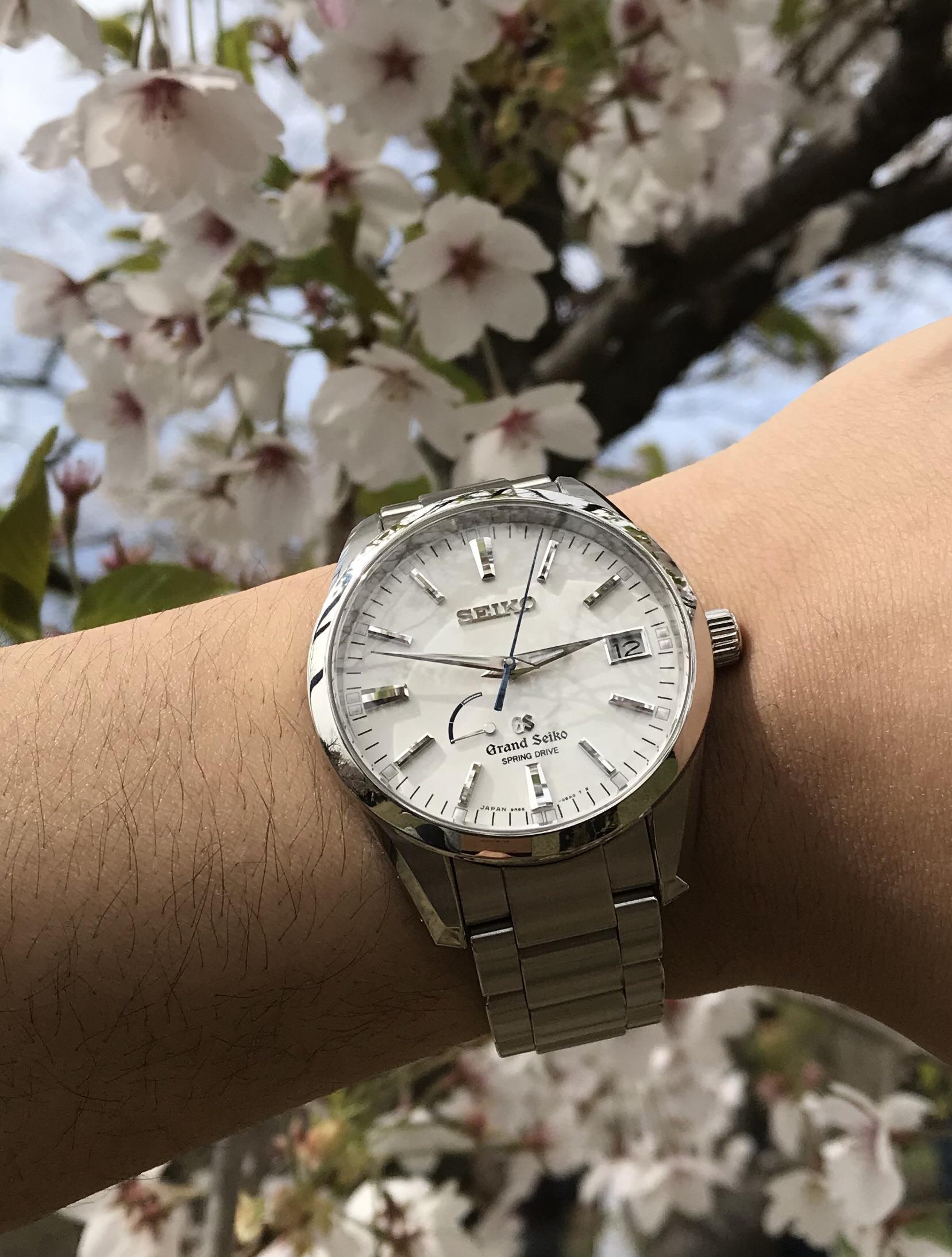[Seiko] Grand Seiko and Cherry Blossoms! r/Watches