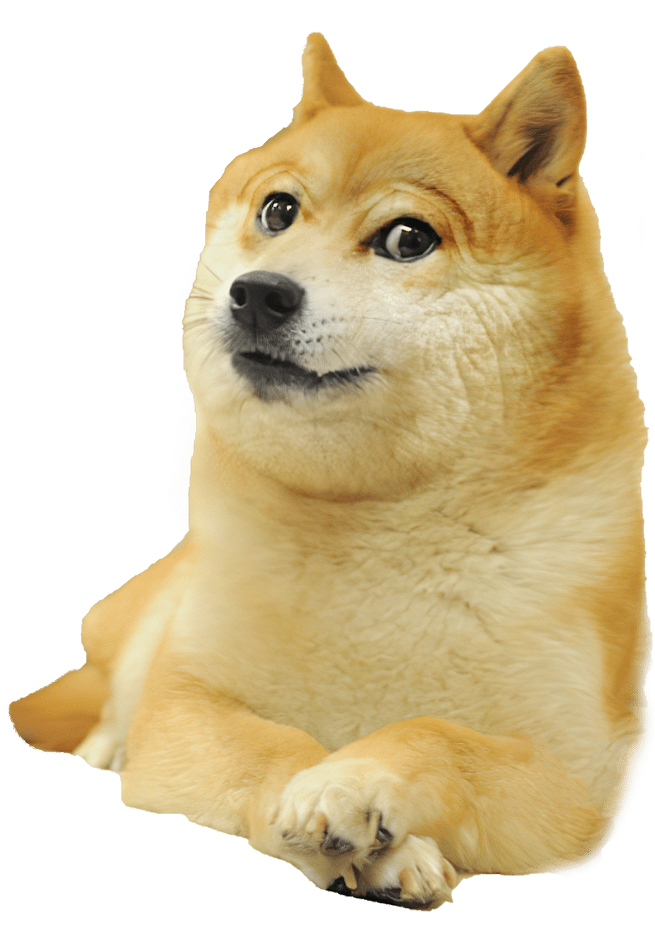 Doge Meme Template Know Your Meme SimplyBe