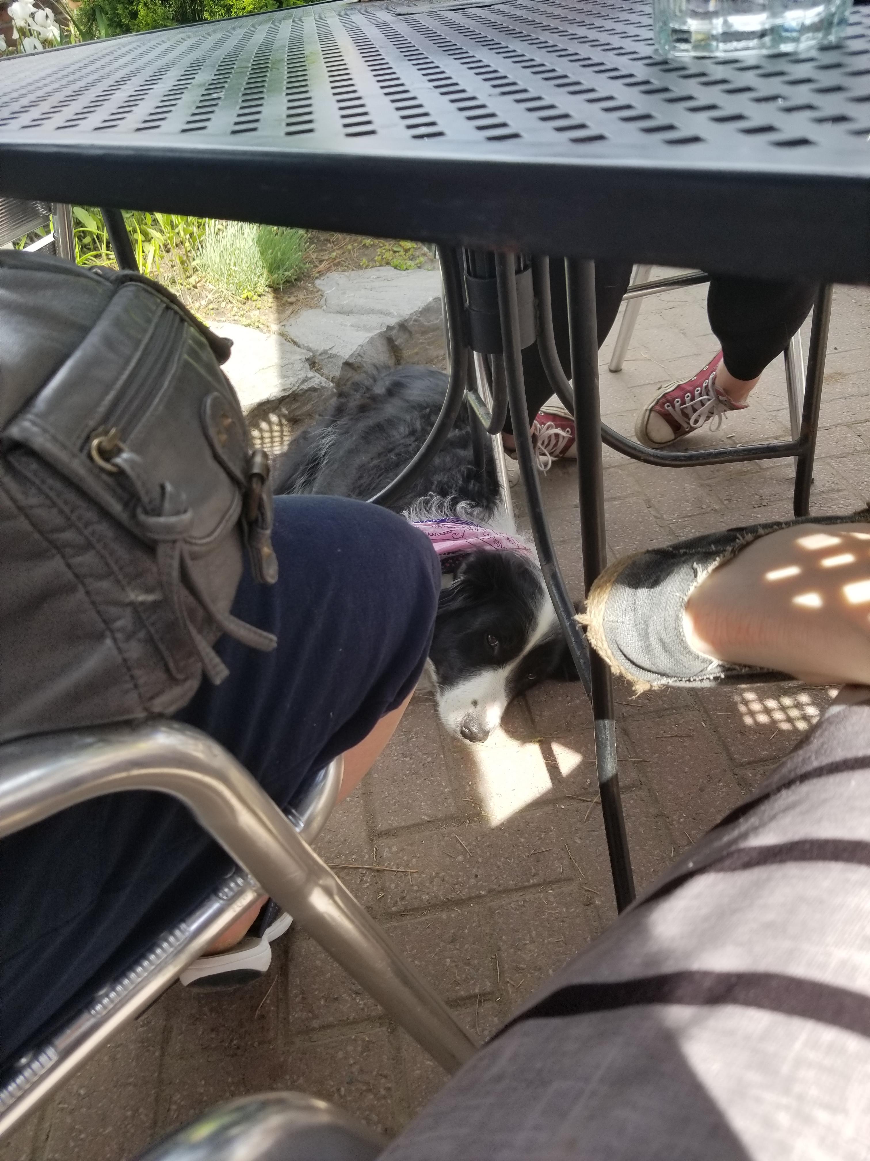 The mansion is pet friendly ! Nothing like being able to enjoy a nice