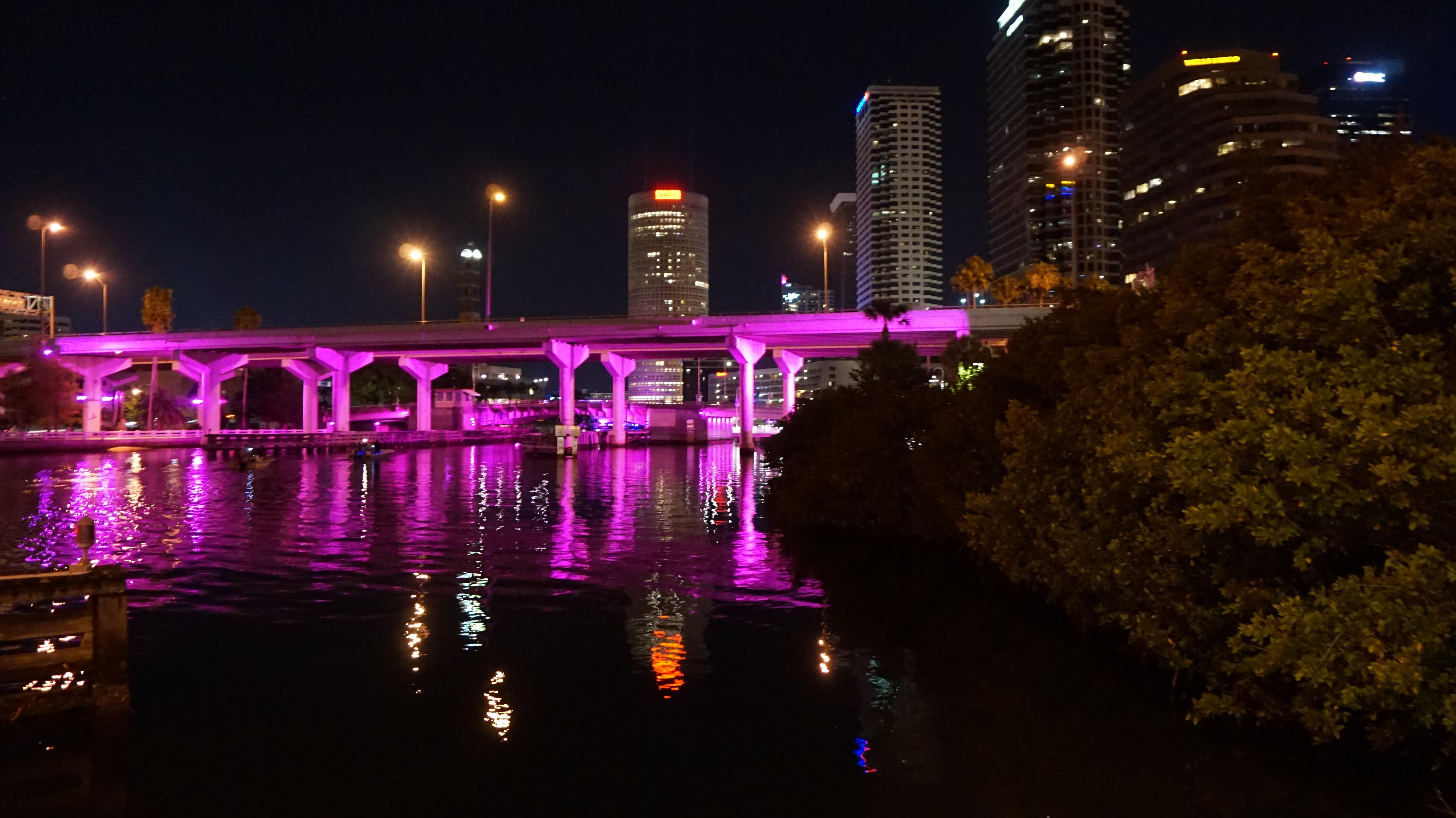 Downtown Tampa /// A5000 r/SonyAlpha