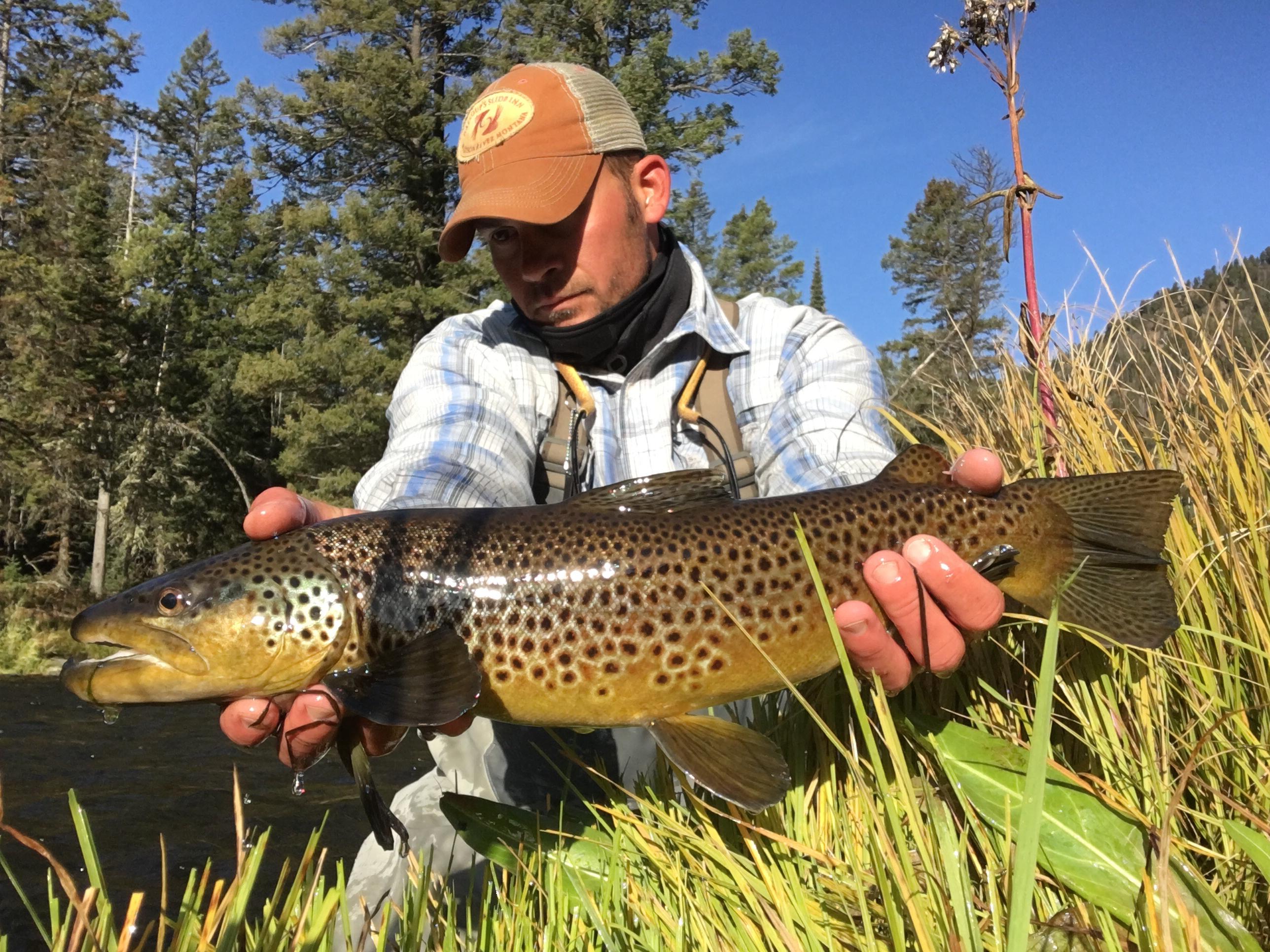 Caught this stud on the Madison last week. r/flyfishing