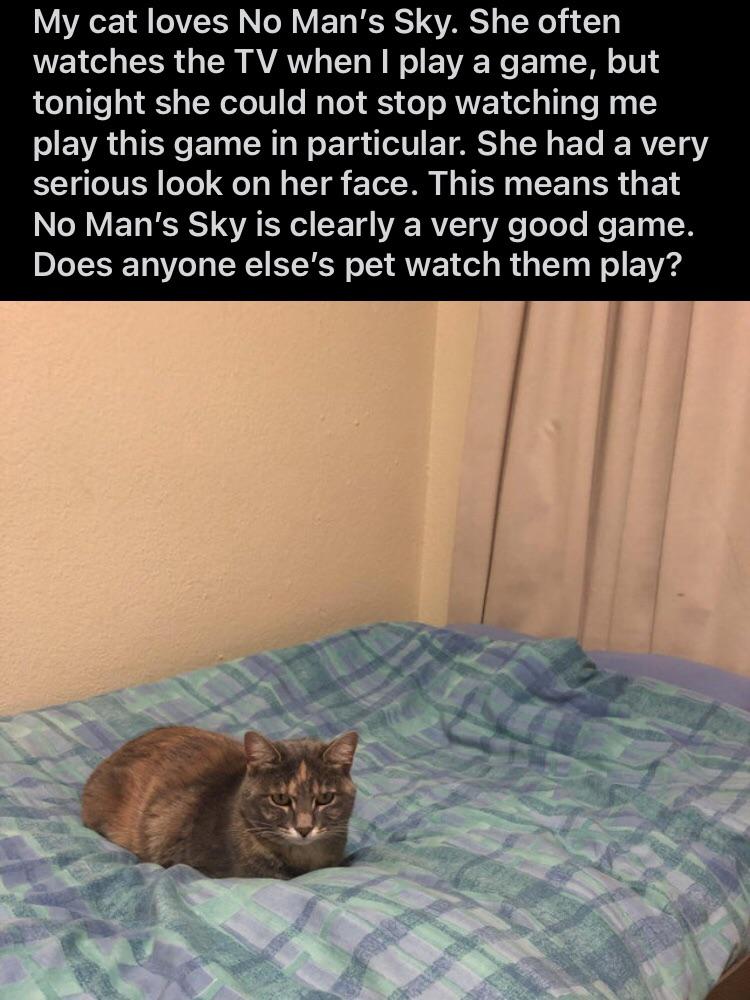 My cat watches me play game. This means the cat can tell the game is