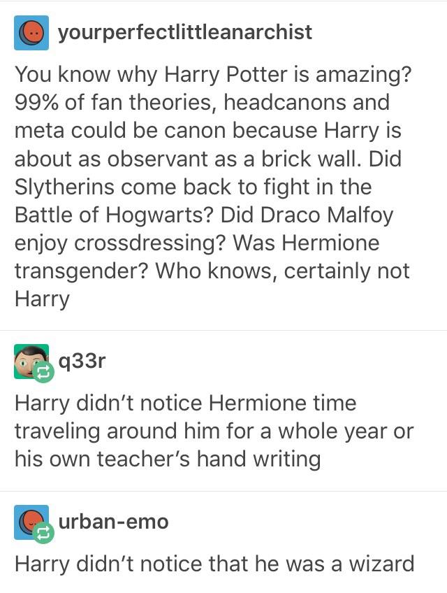 Everything is canon because Harry Potter is oblivious r/harrypotter