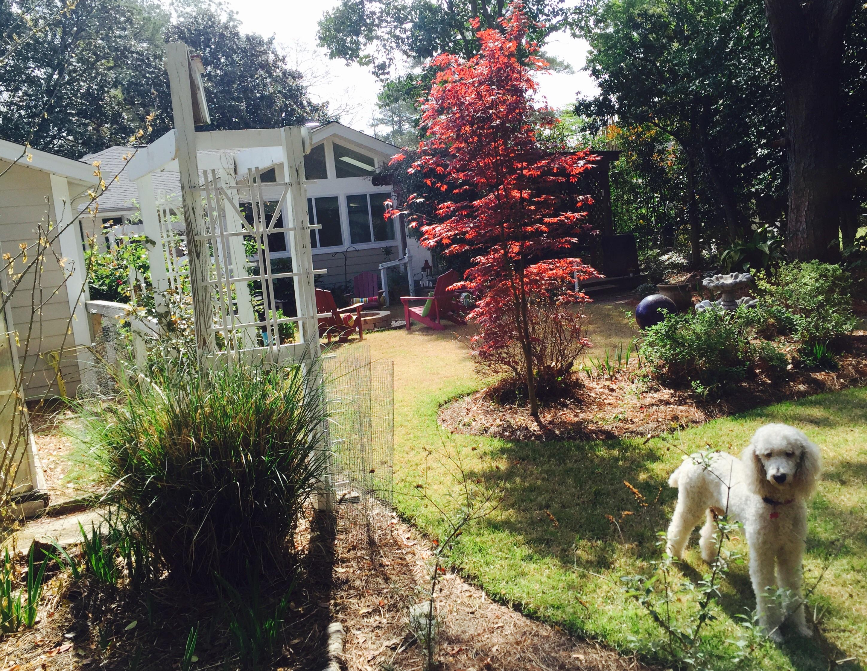 Inherited my grandparent's house and beautiful yard and garden. I hope
