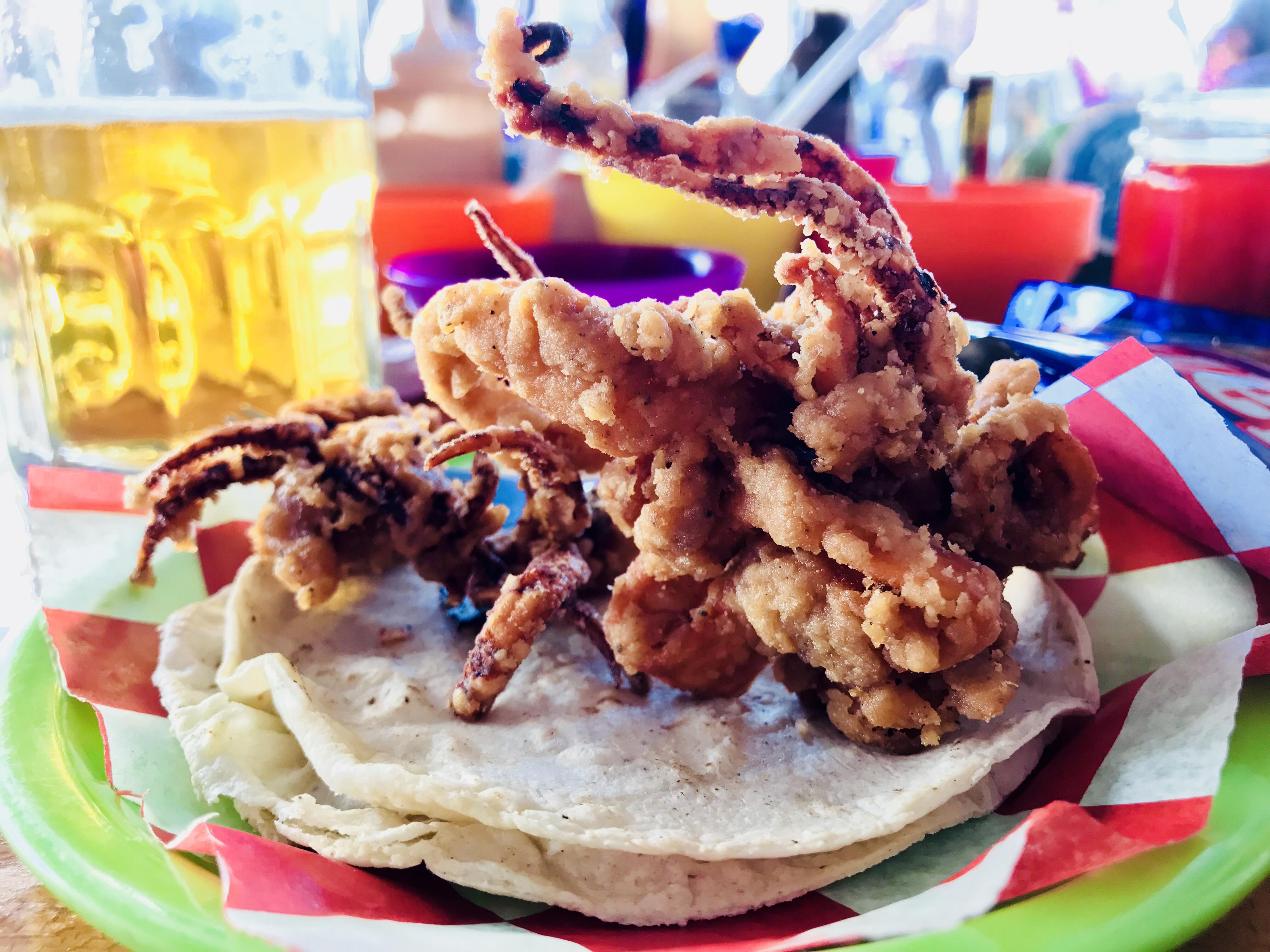 [I ate] Fried squid taco that looks like fried scorpion taco (and beer