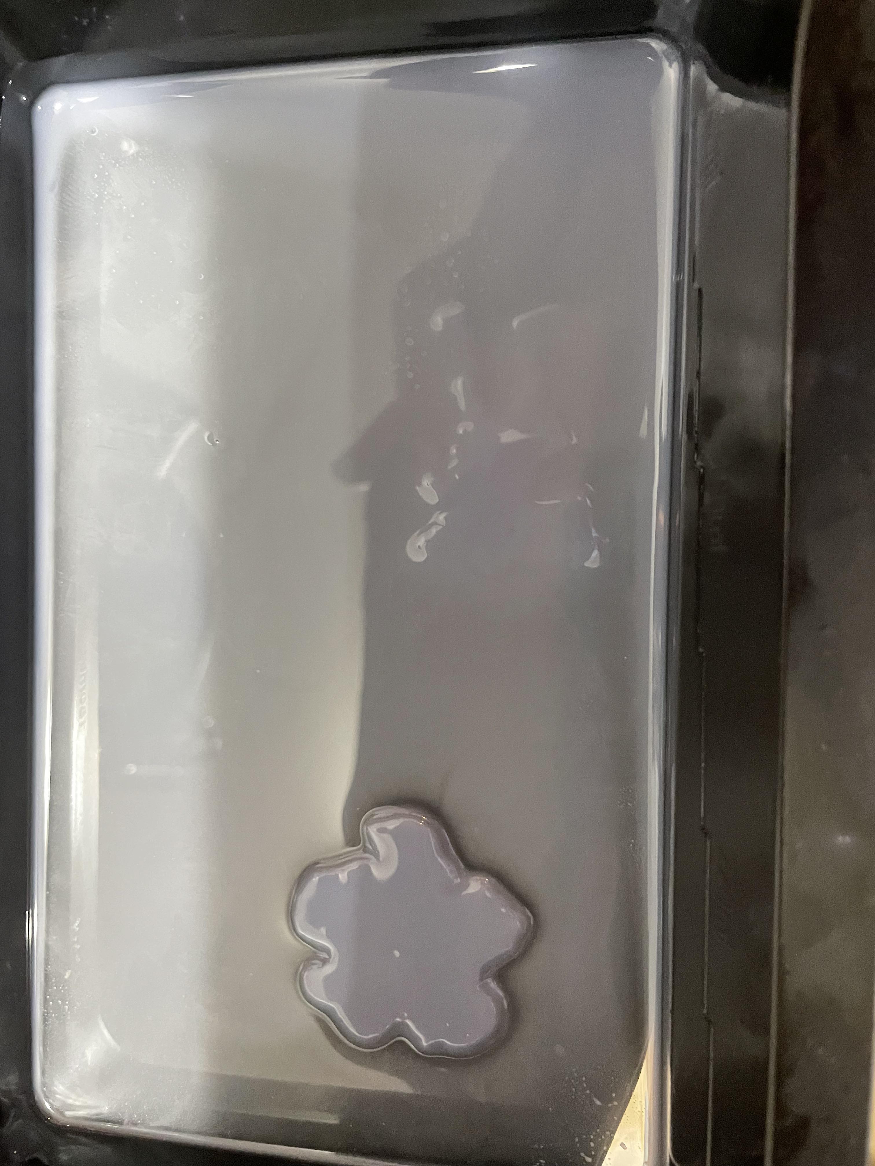 Anycubic Mono print not sticking to the build plate For some reason