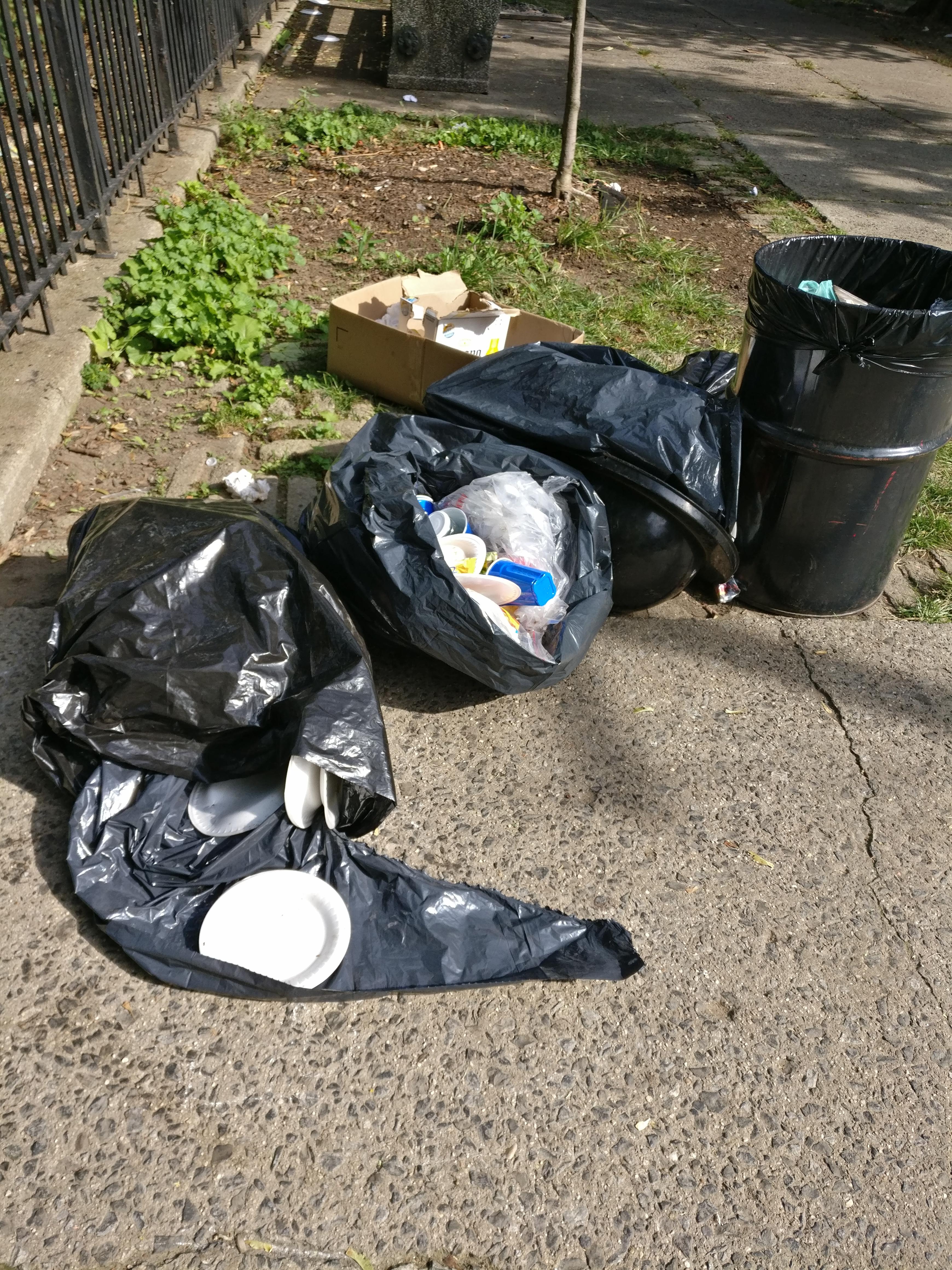 DSNY, the Prospect Park Alliance or whomever else needs to figure out a solution to the park's