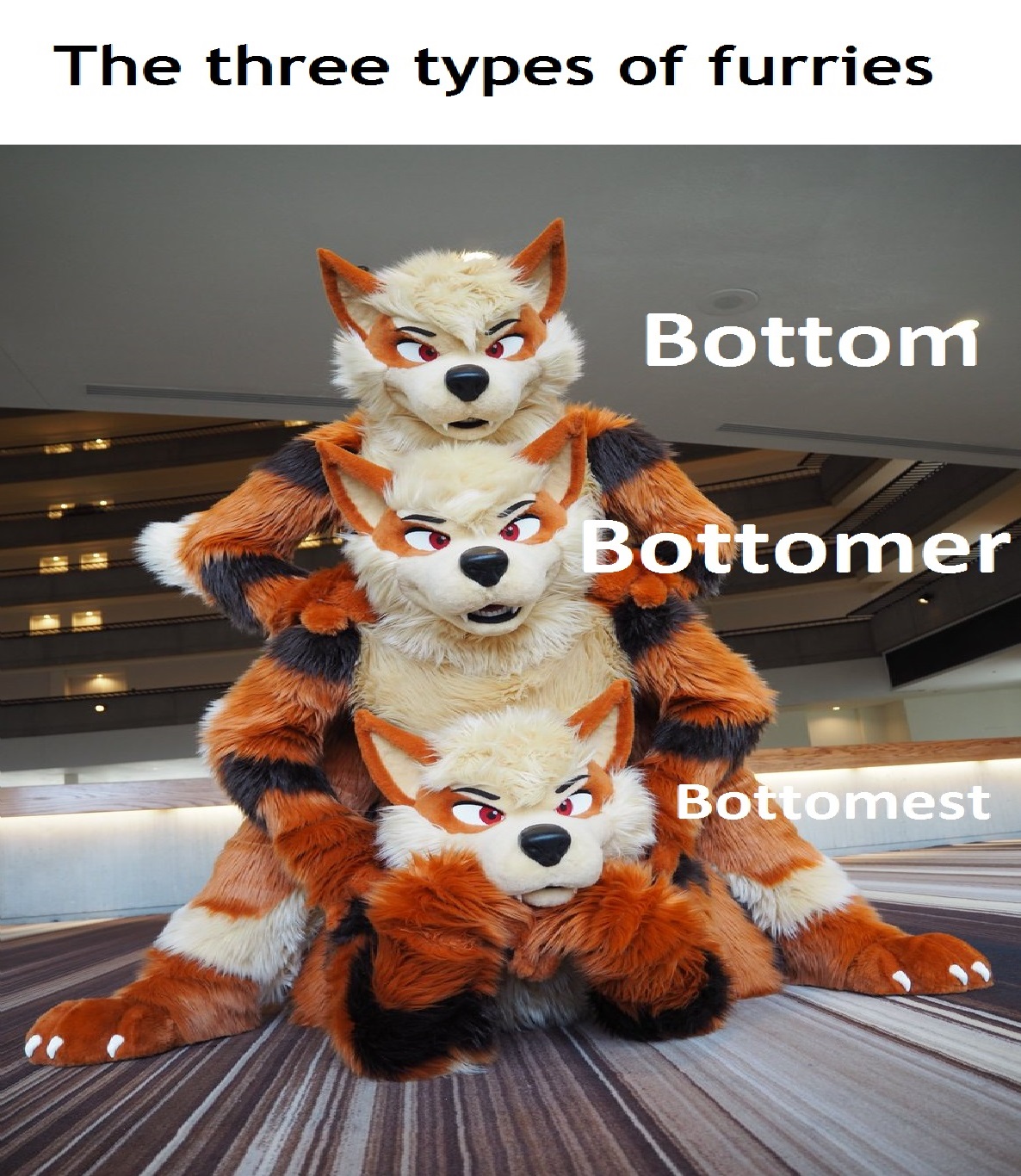types_irl furry_irl