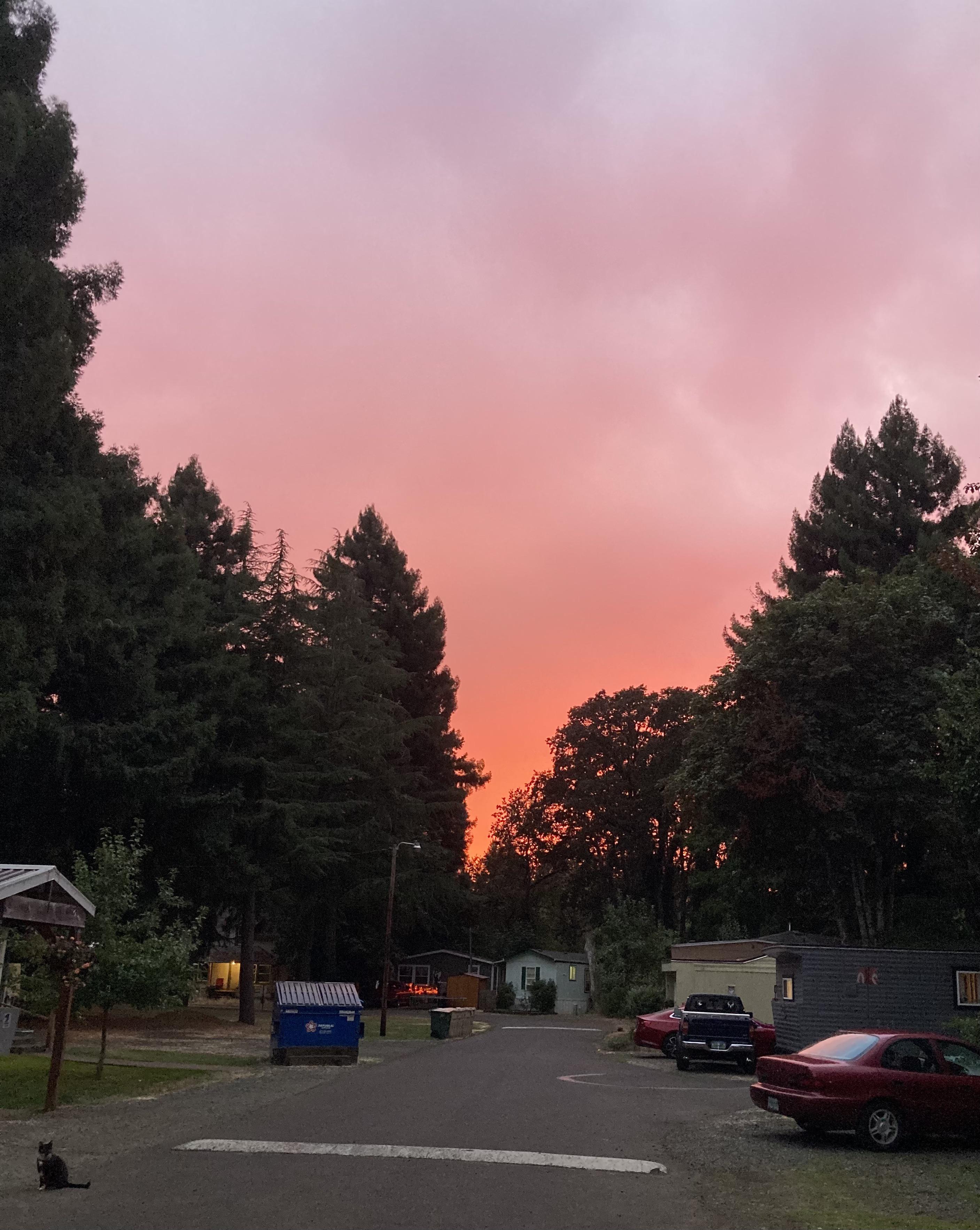 Beautiful sky for about 5 minutes yesterday. Thanks rain! r/corvallis
