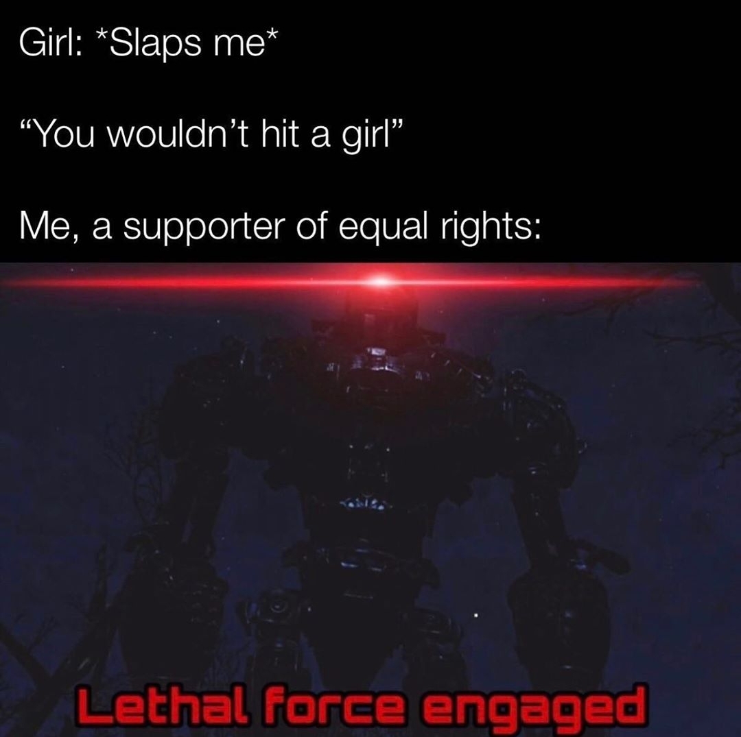 "Equal rights, equal fights" TheRightCantMeme