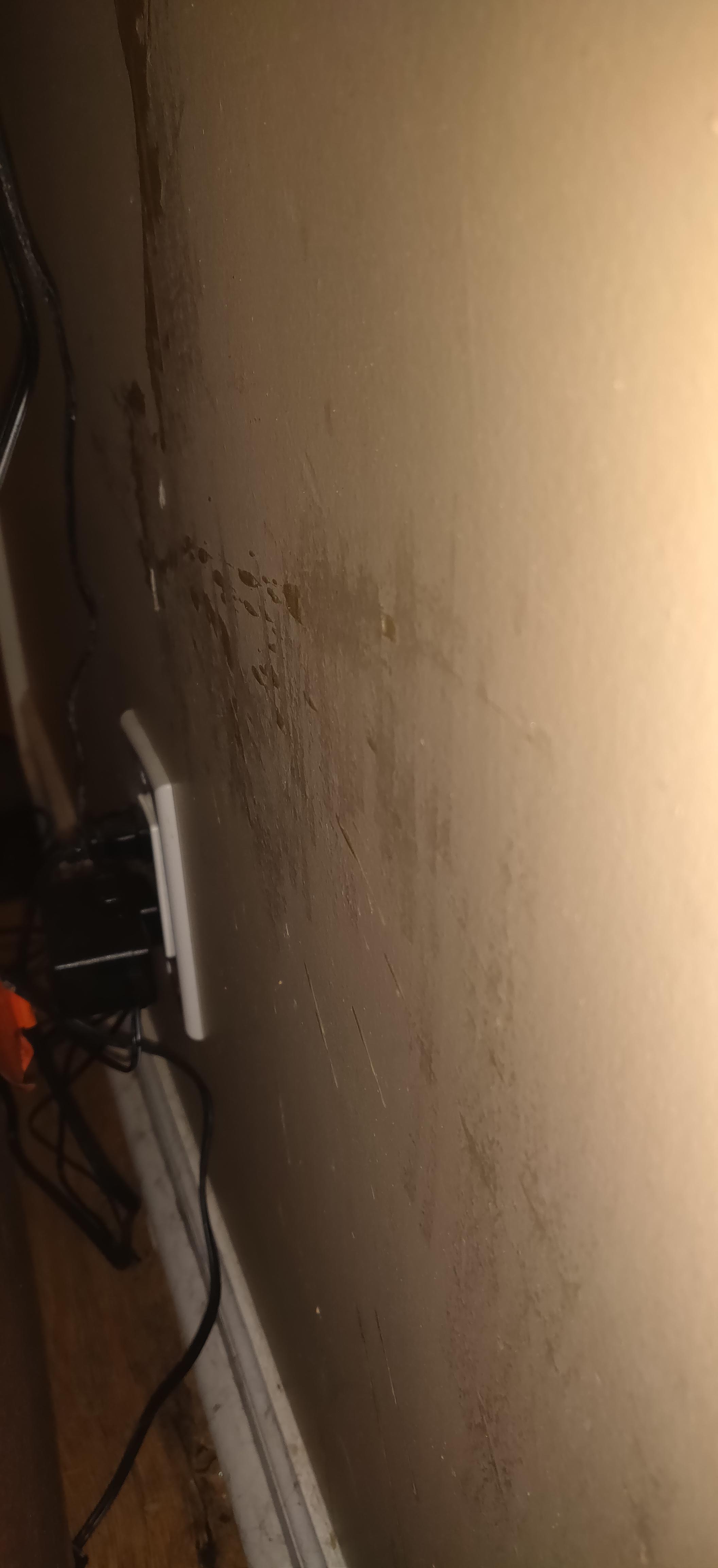 Previous tenants exploded a scent plug in. Definitely hardened. How to