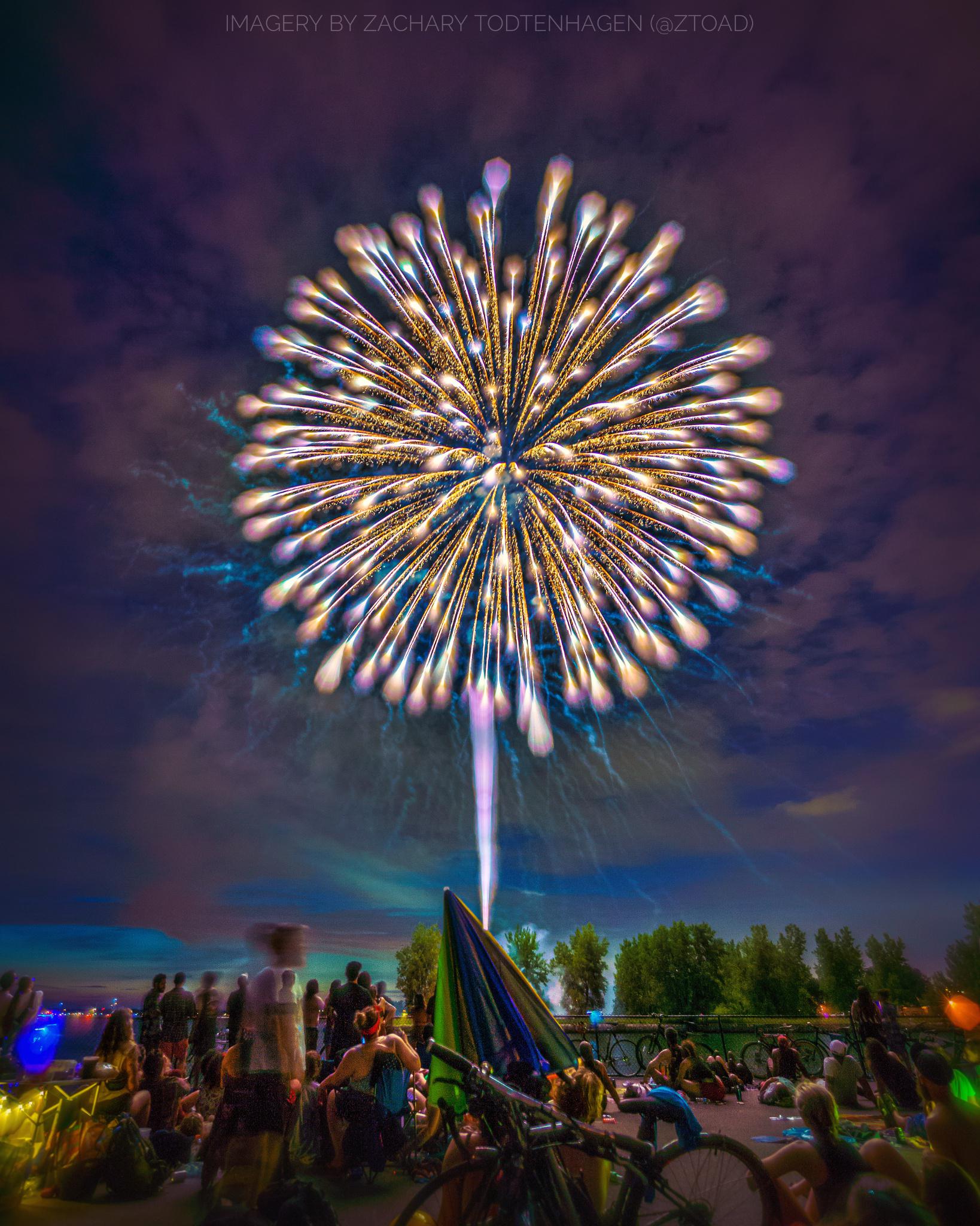 Fireworks at Canalside r/Buffalo
