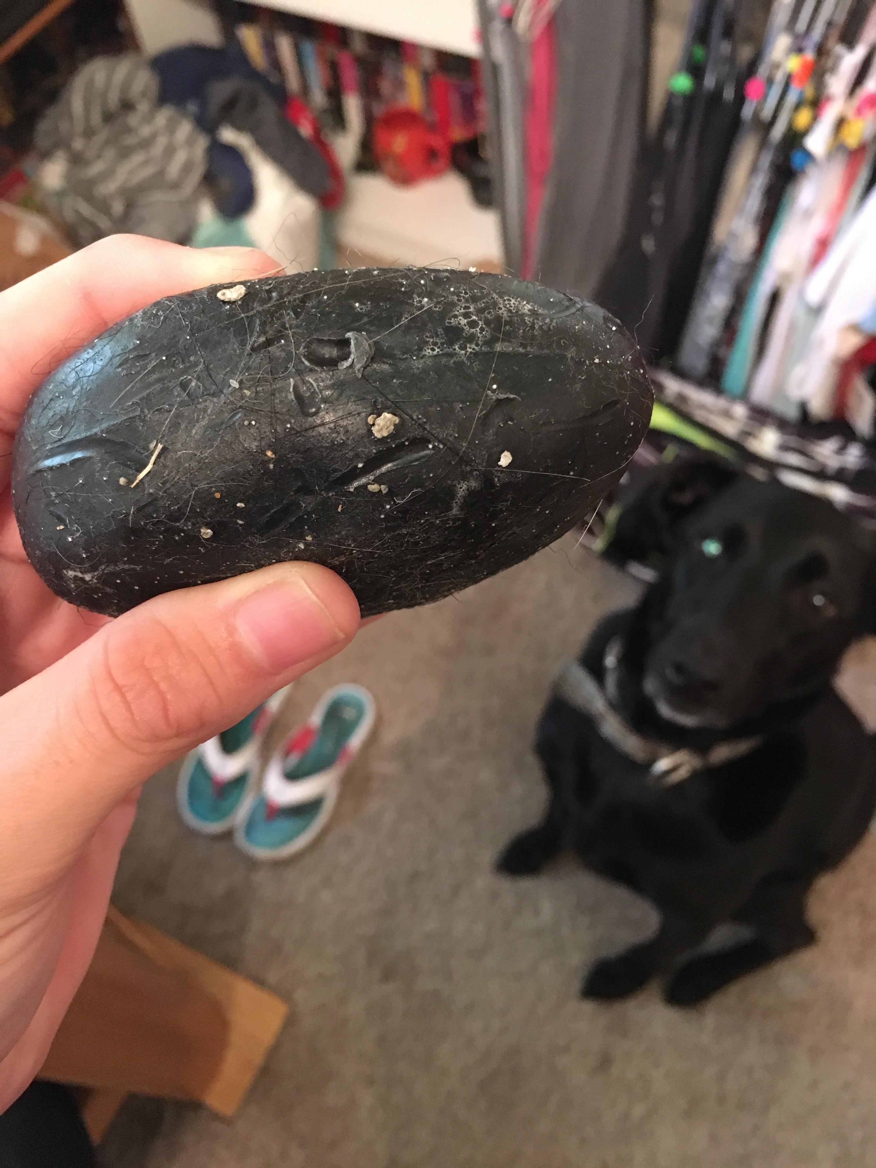 Anyone else see the teeth marks in my charcoal soap? Rosie doesn’t seem