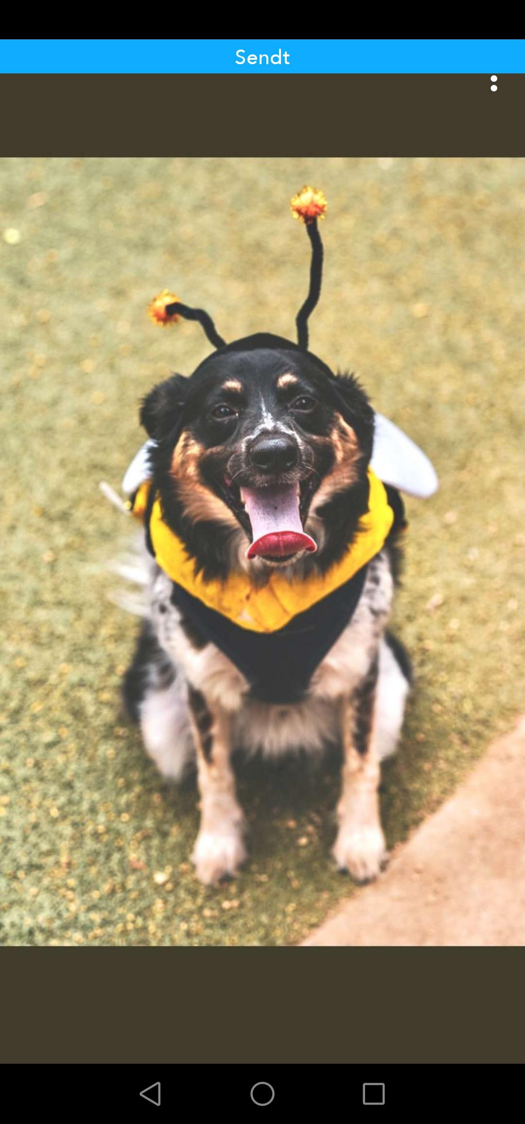 Spencer! ))))) r/CrankGameplays