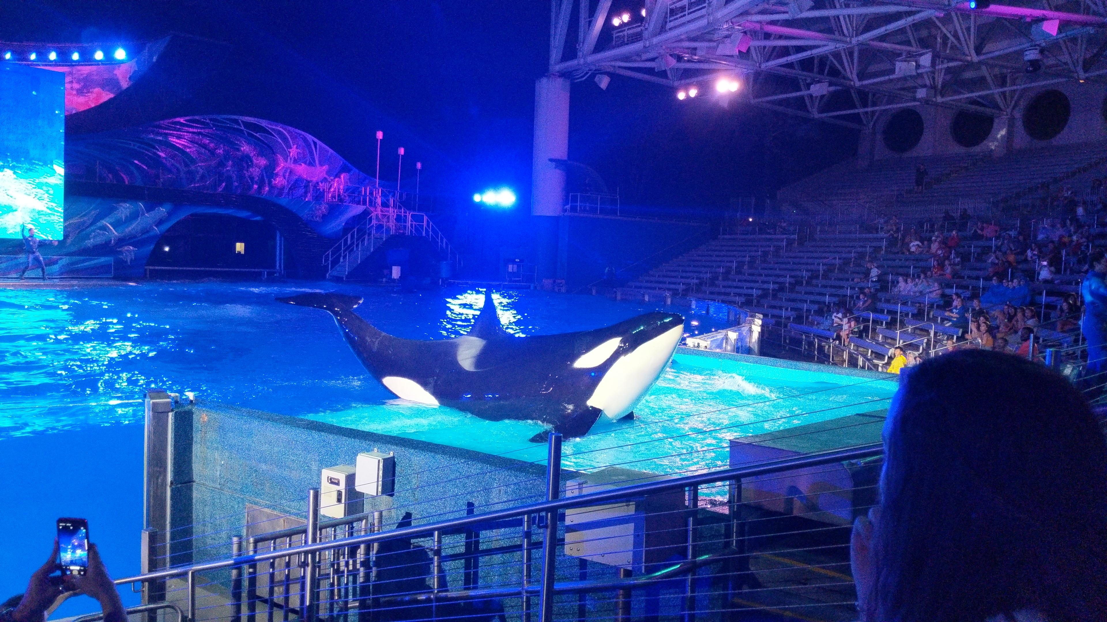 Nothing Quite Like Visiting Seaworld For My First Time in 15 yrs (age 4