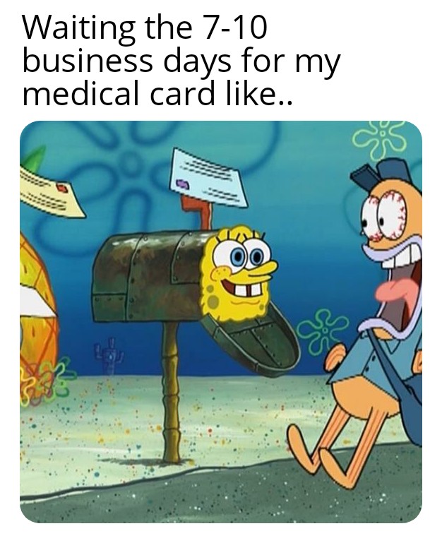 Longest 710 business days of my life trees