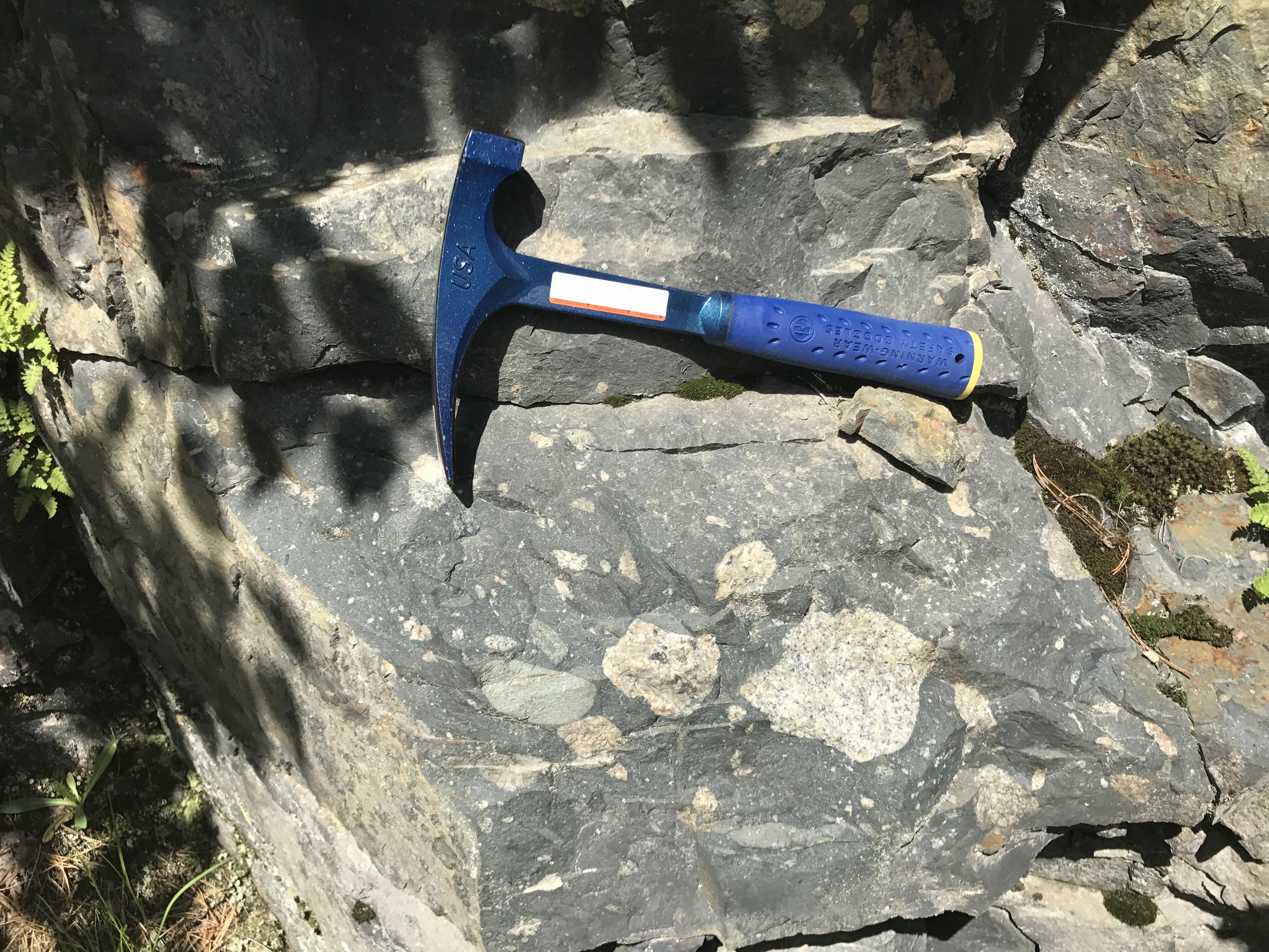 Glacial Diamictite (Tillite) of the Gowganda Formation. Huronian