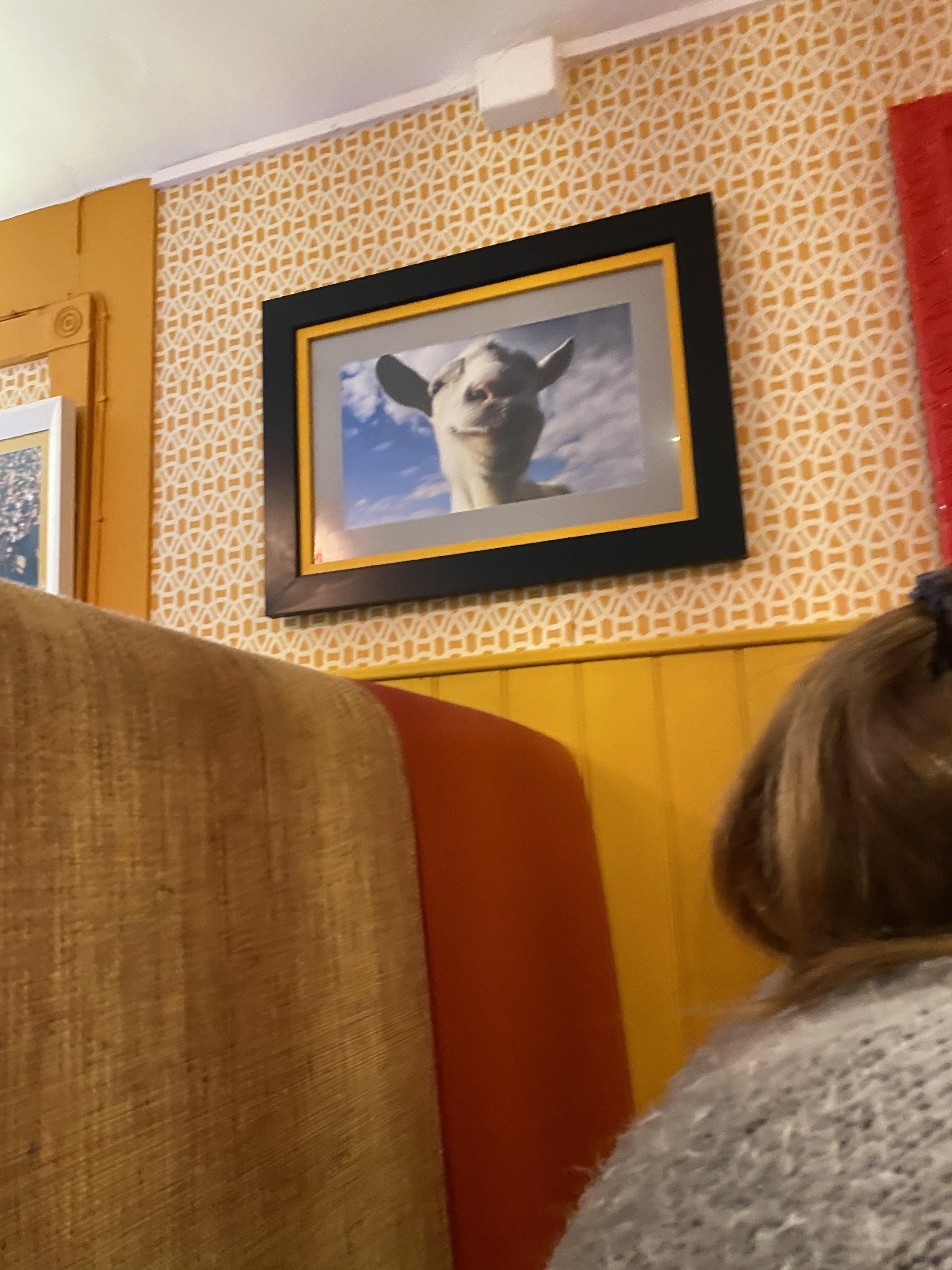 Was sitting in a restaurant and they had the goat simulator goat framed
