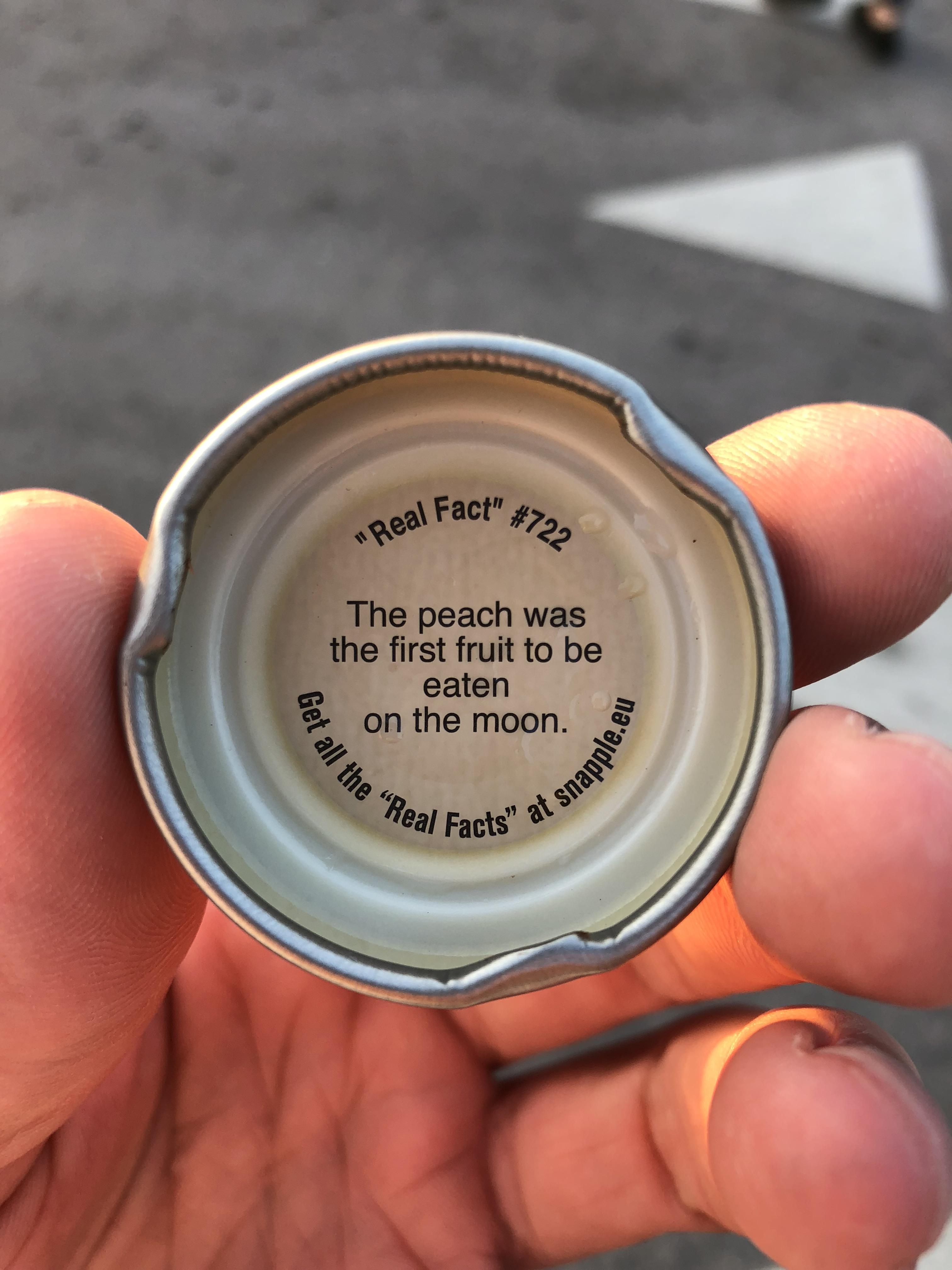 Cool fact inside the cap of Snapple r/mildlyinteresting