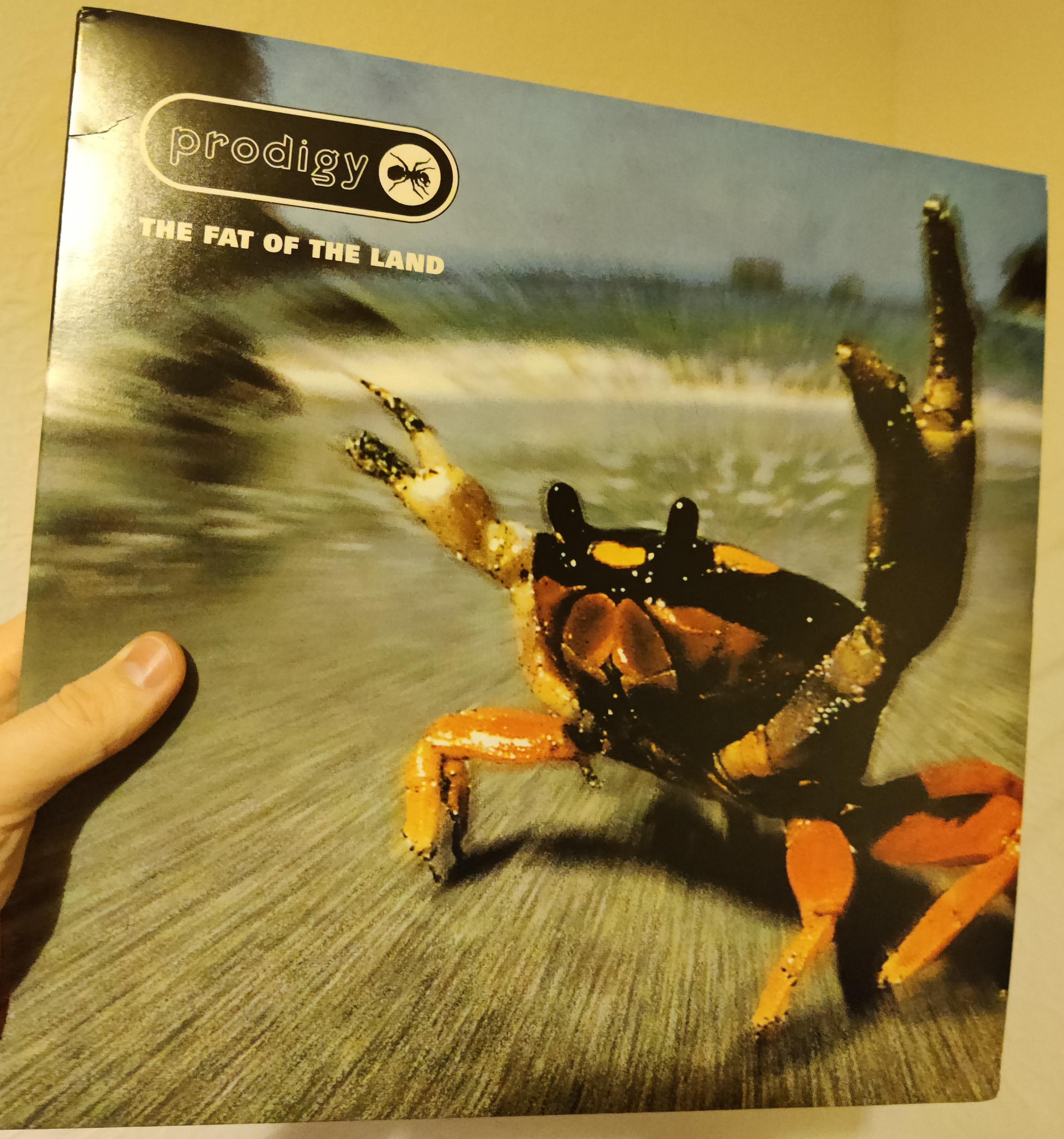 New record day... Prodigy The Fat Of The Land r/vinyl