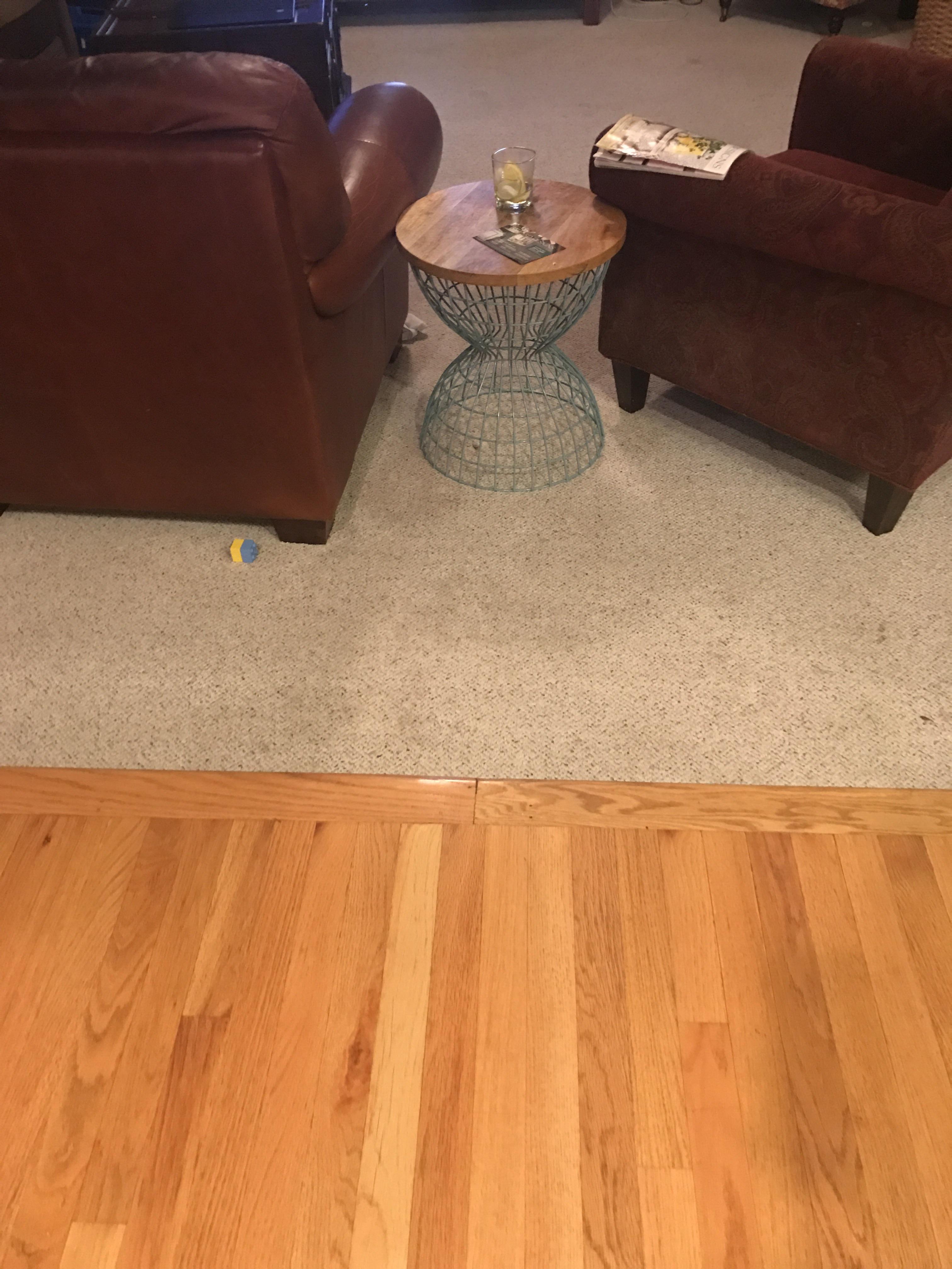 Want to replace carpet. More carpet or something better? Dog, kids