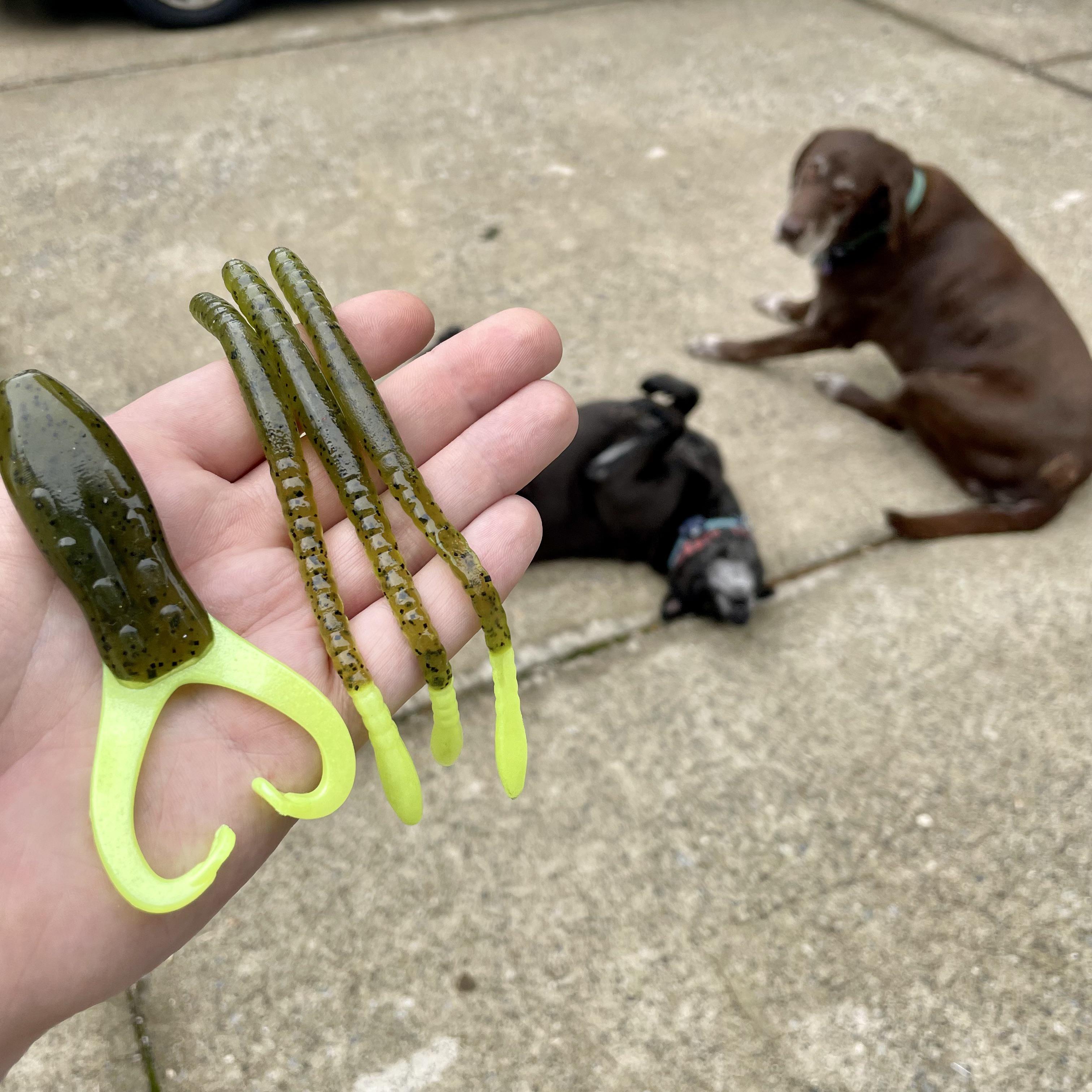 Havin fun with worms, frogs and dogs lurebuilding