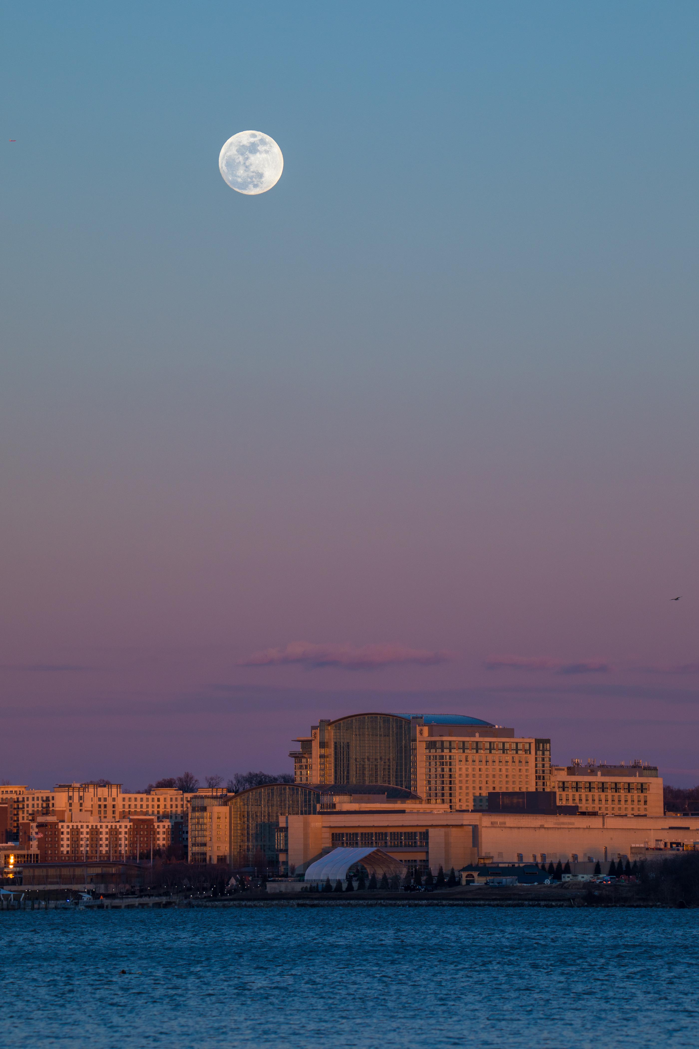 belle haven park Reddit post and comment search SocialGrep