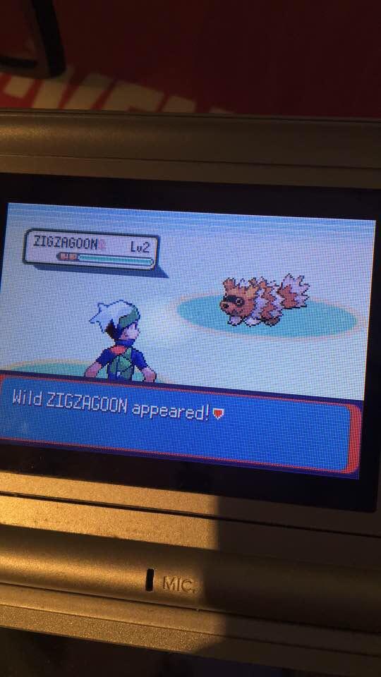 [gen3] After hours trying to SR for a shiny starter in Emerald I get