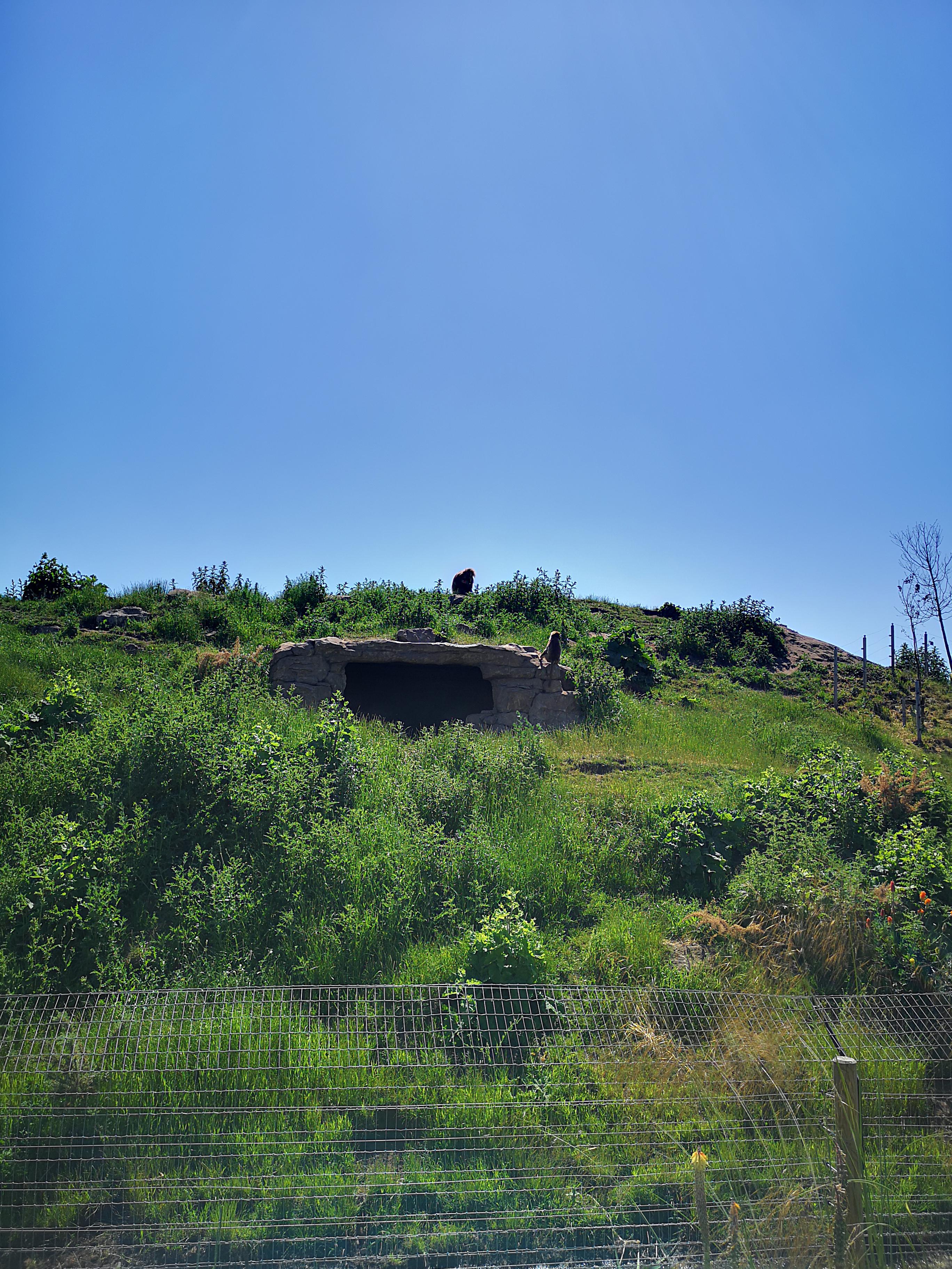 Study finds Yorkshire accent sounds the most intelligent yorkshire