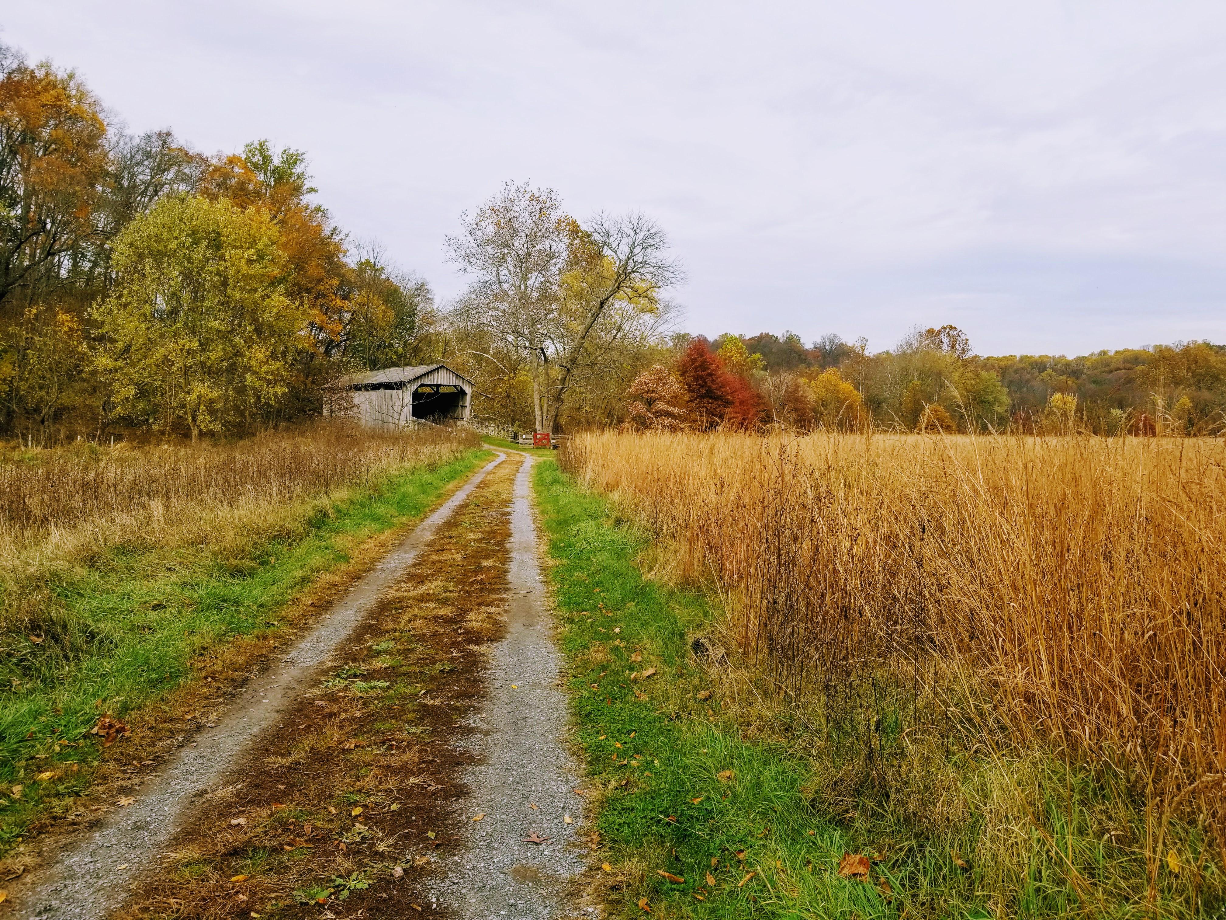 Covered bridge surrounded by fall colors in the Pennsylvania woods [OC