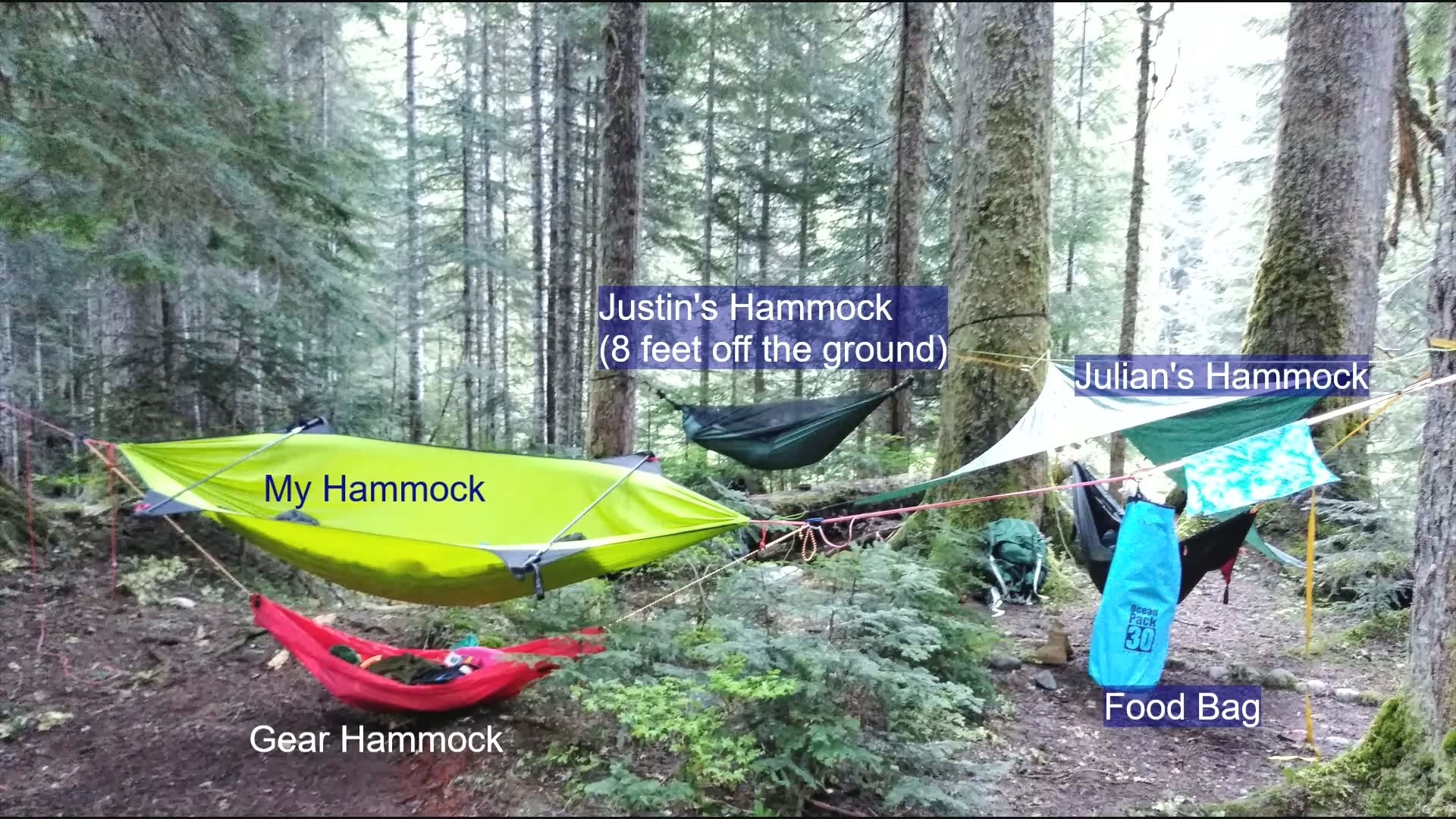 I went hammock camping in the Cascades (Washington state, USA) with my