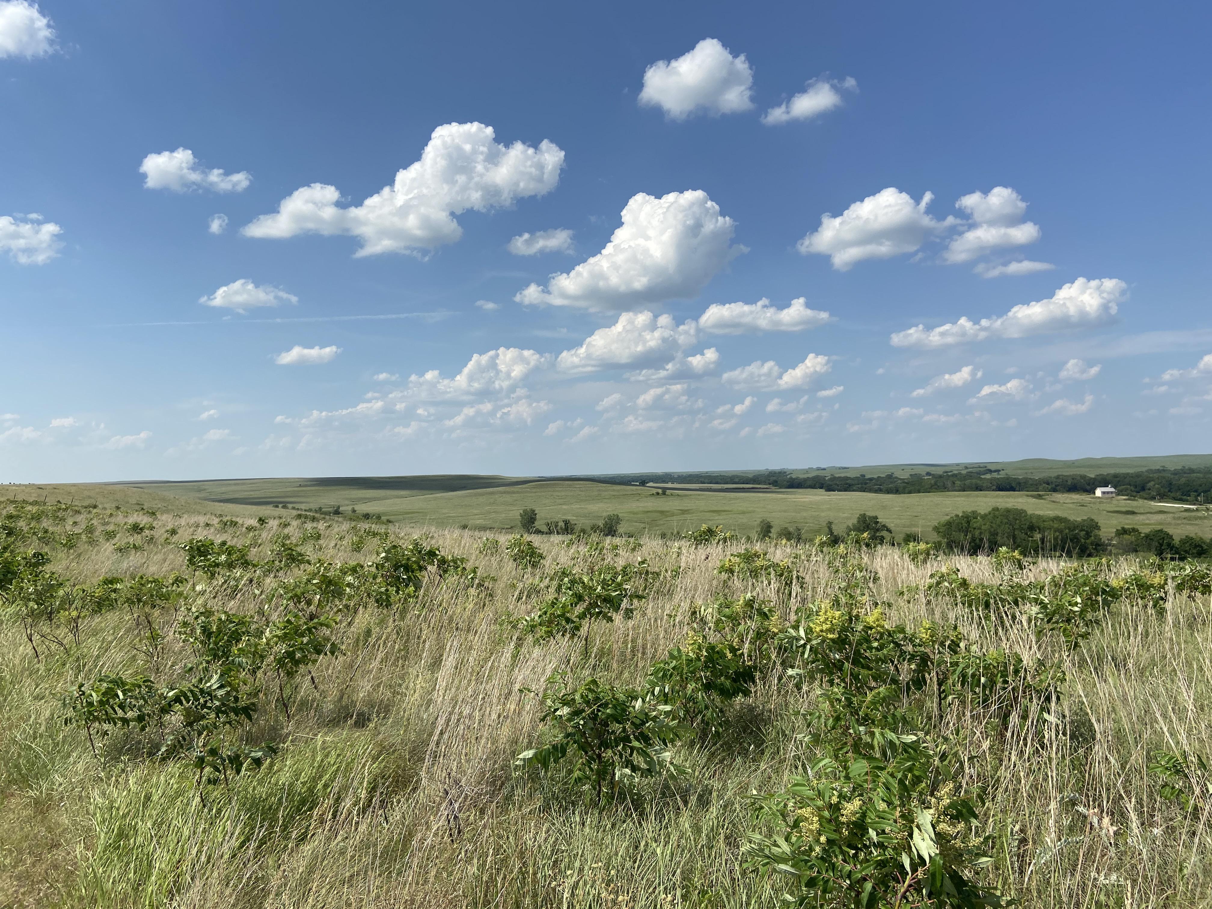 The Tallgrass Prairie Reserve Is Chase County r/kansas
