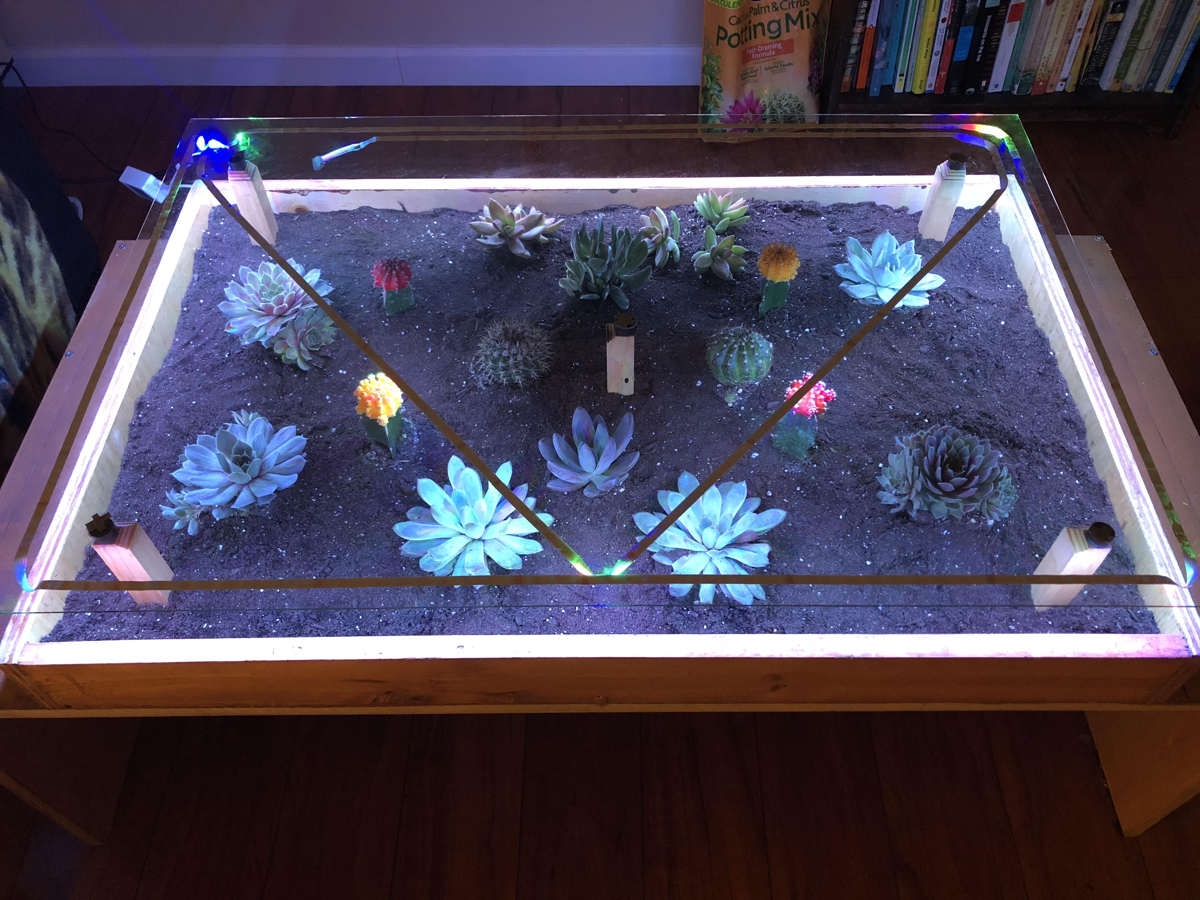 I’ve been working on this terrarium coffee table for the last month and