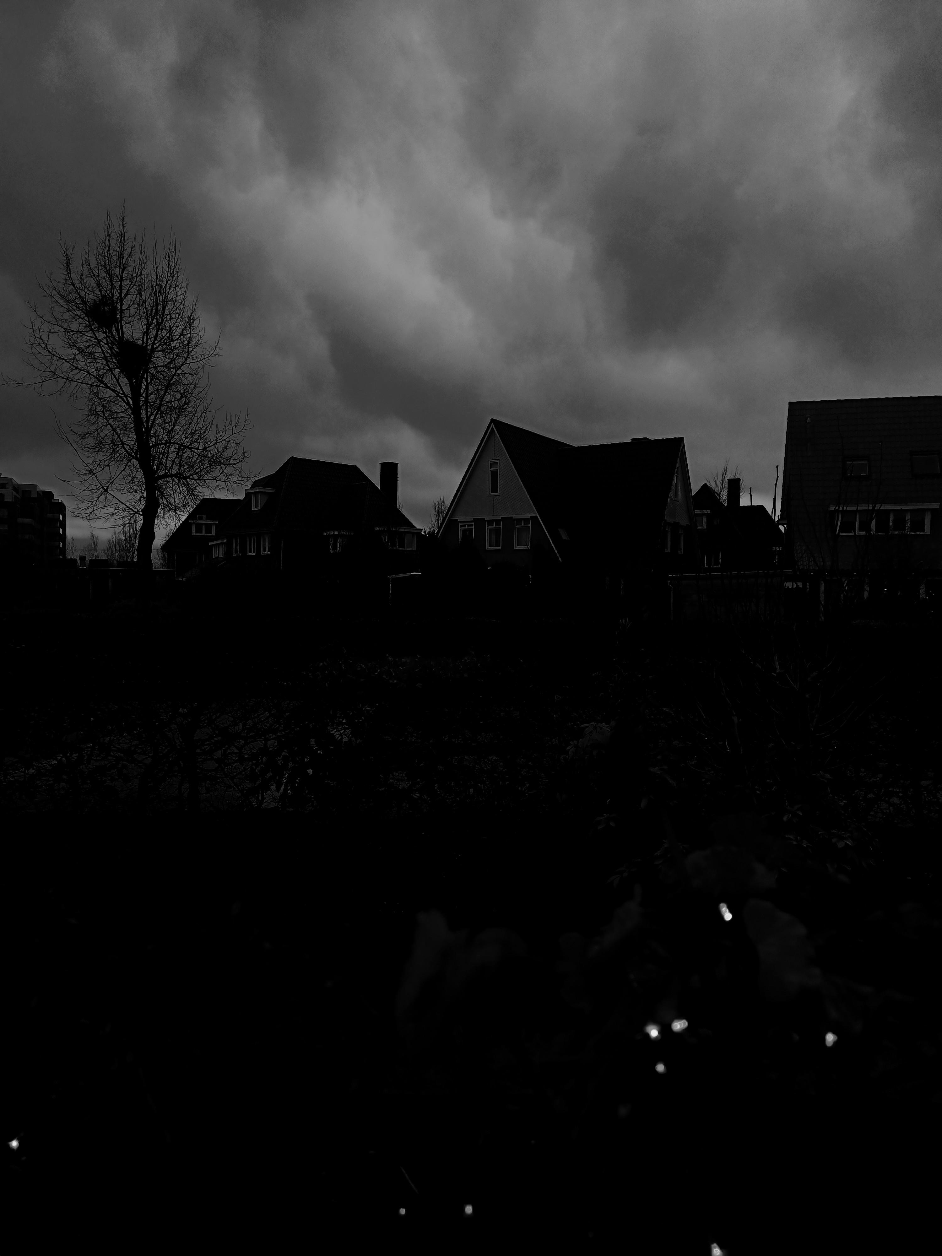 Christmas lights r/Sizz