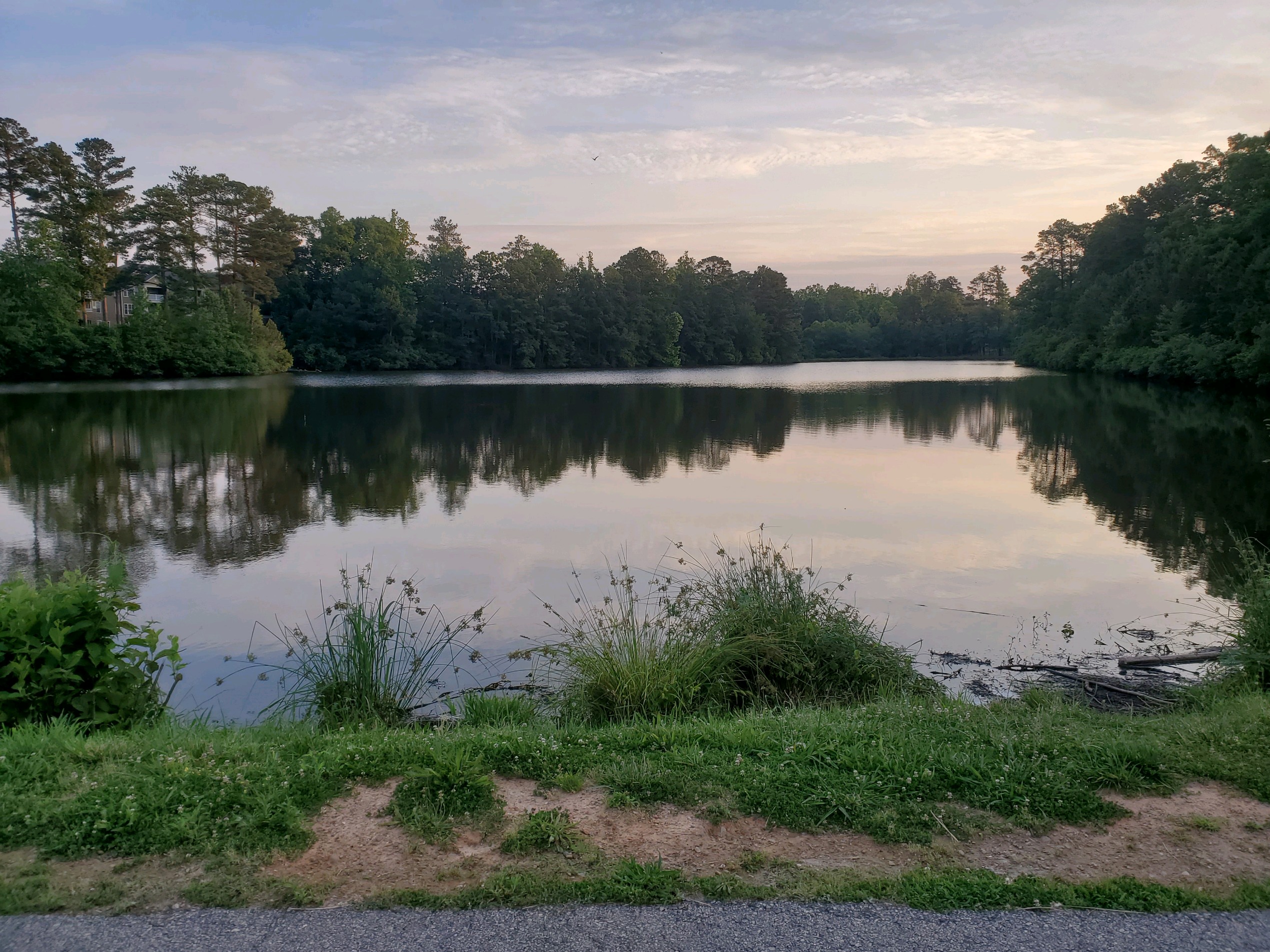 Macedonia Lake Loop Trail, Cary r/raleigh
