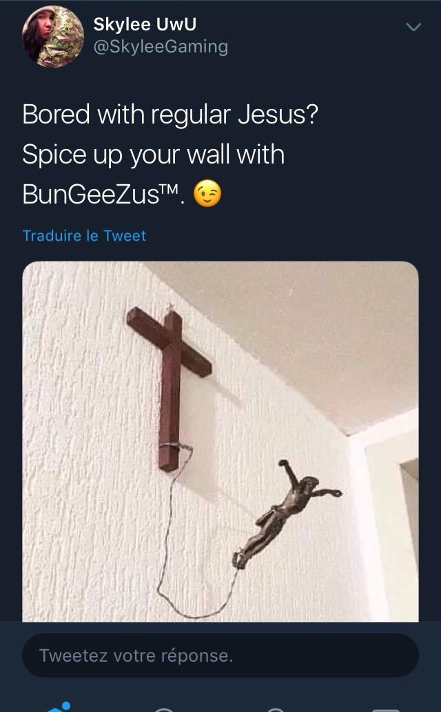 I really want this Jesus bungee jumping r/DidntKnowIWantedThat