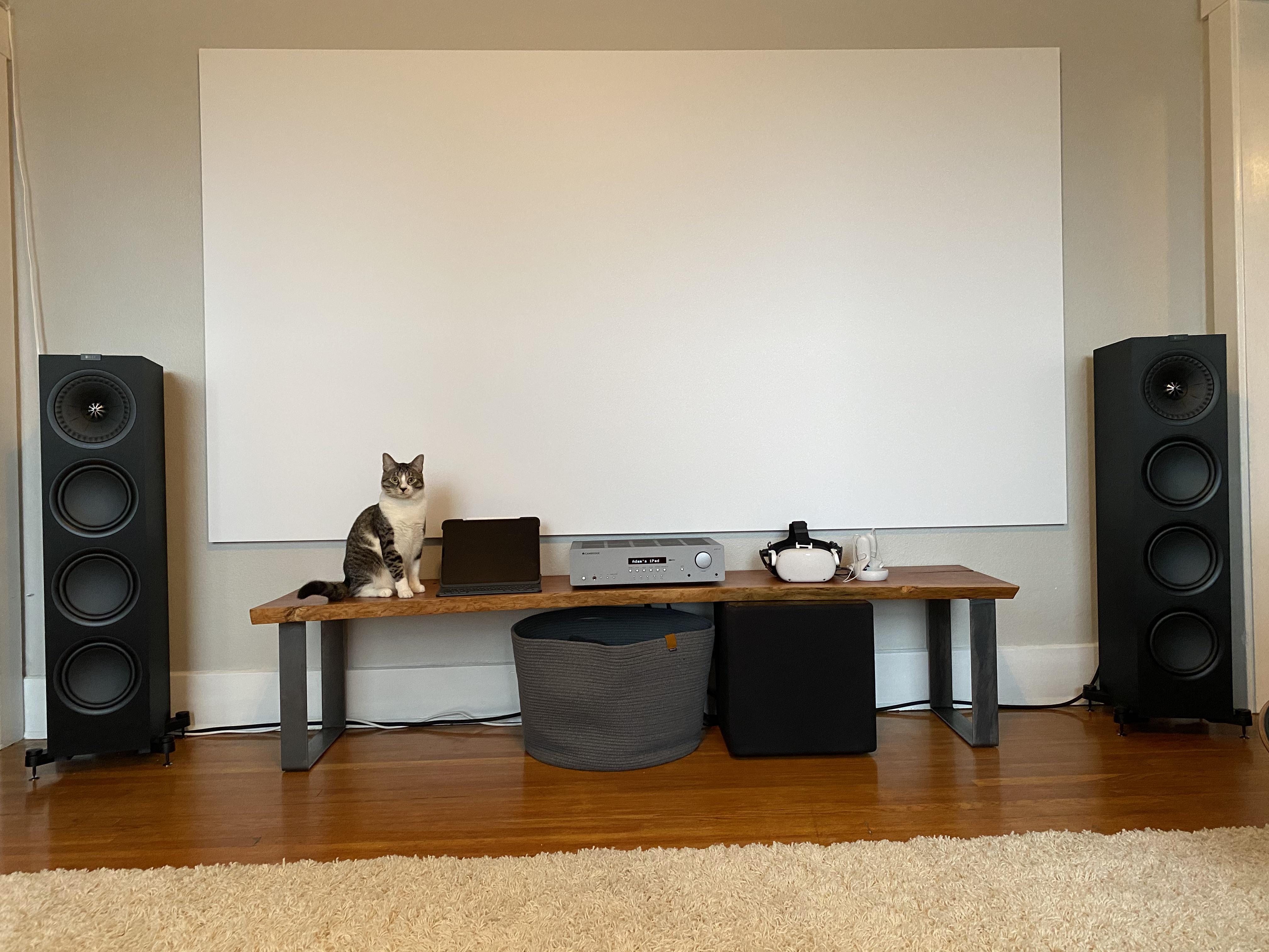 My Living Room Setup 12/31/20 Suggestions r/audiophile