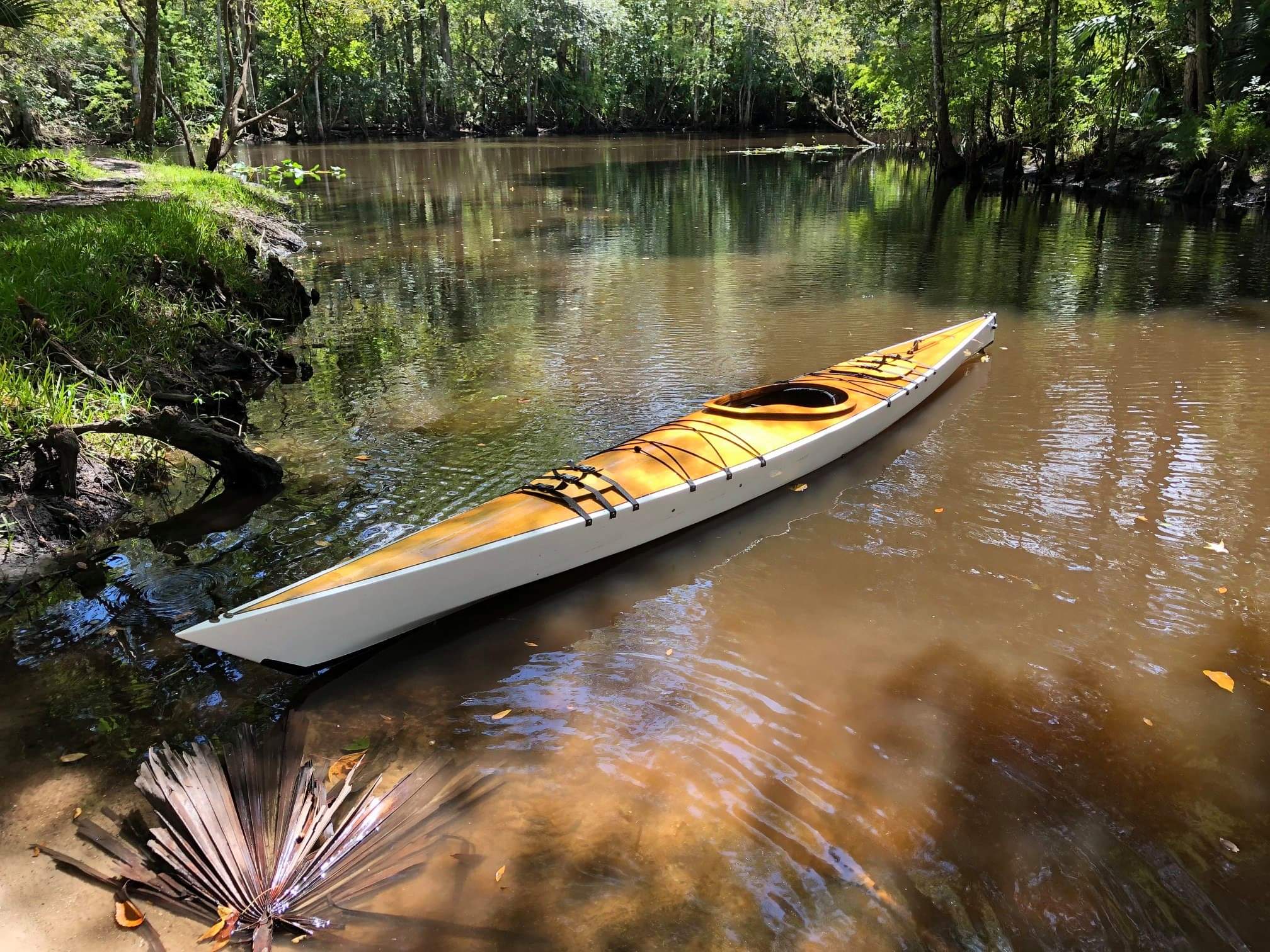 One of my dad's kayaks that he built. Taken on the Ocklawaha River in