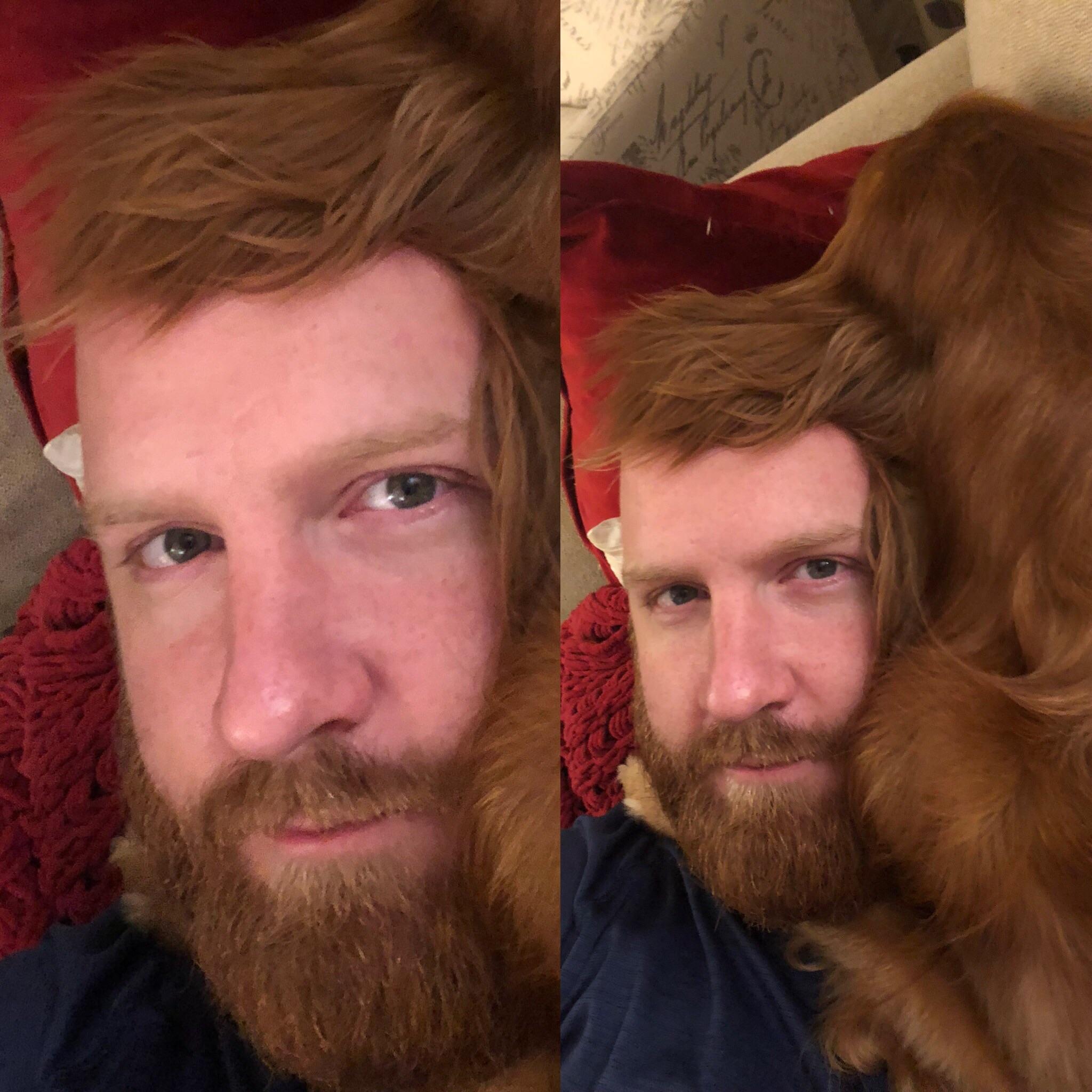 Puppy Ear The cure for baldness! r/aww