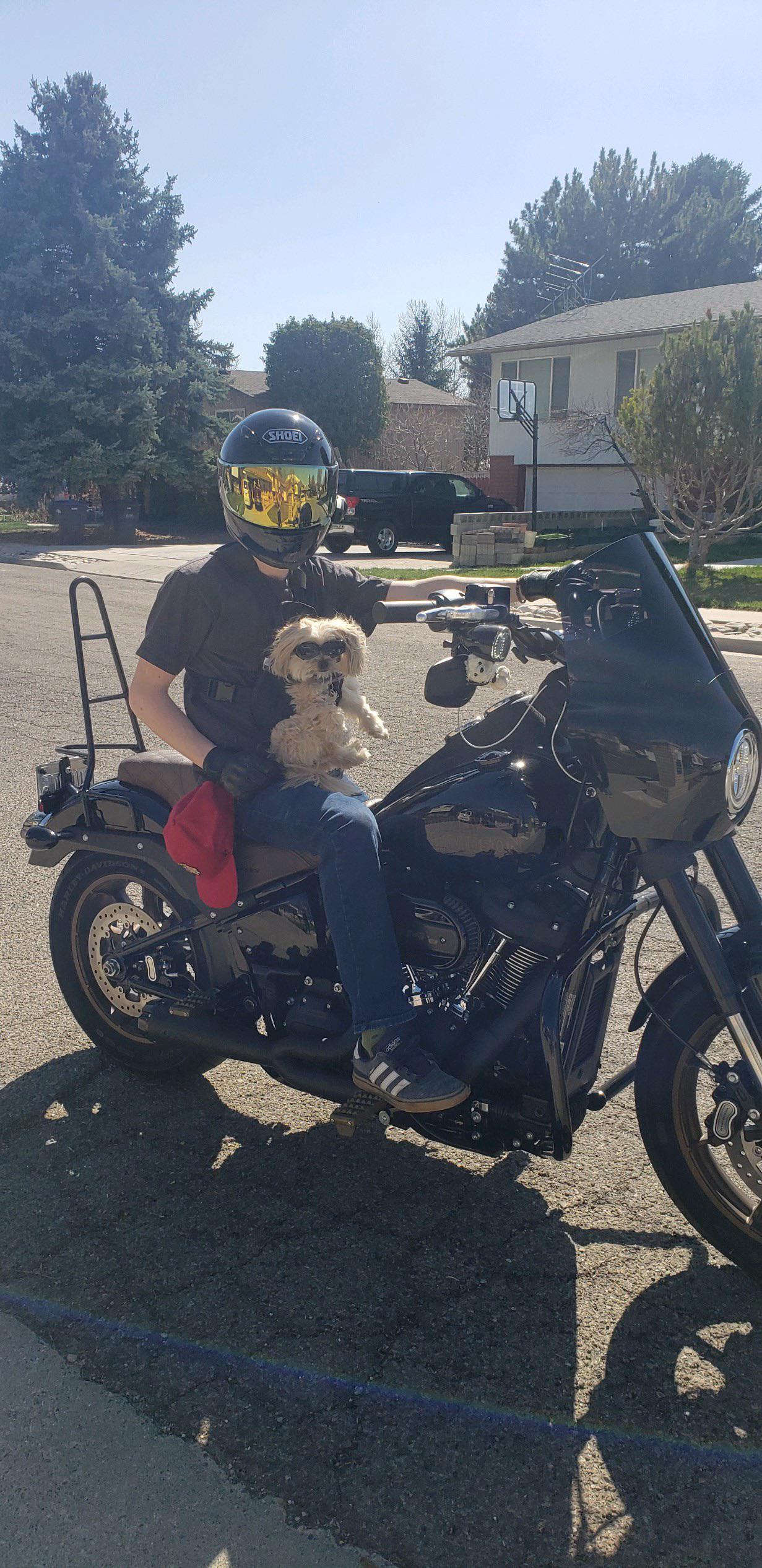 408 best Riding Buddy images on Pholder Motorcycles, Dirtbikes and