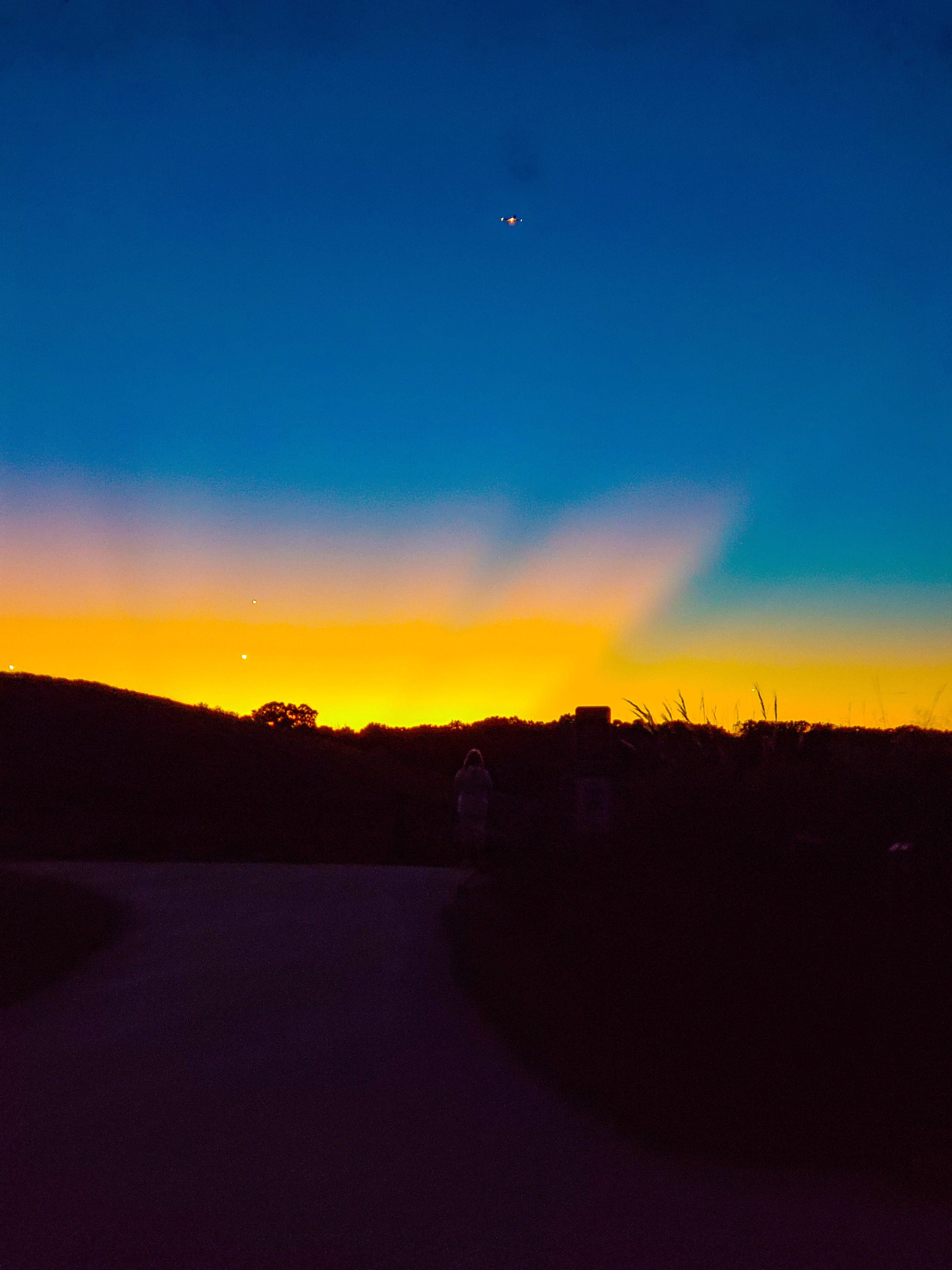 Meacham Grove County Forest Preserve Bloomingdale, IL [3024x4032][OC