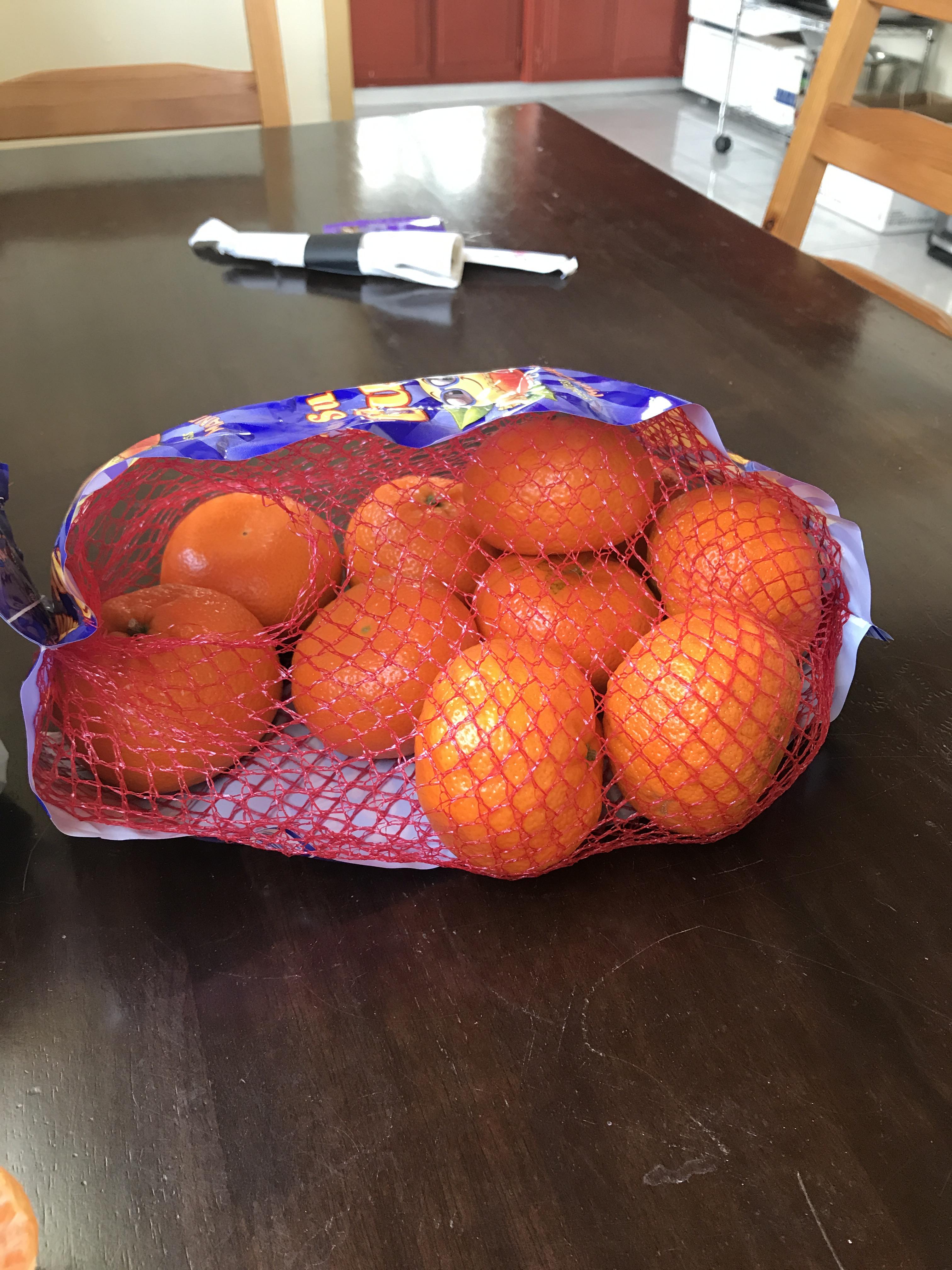 Are Halo Oranges Safe For Dogs